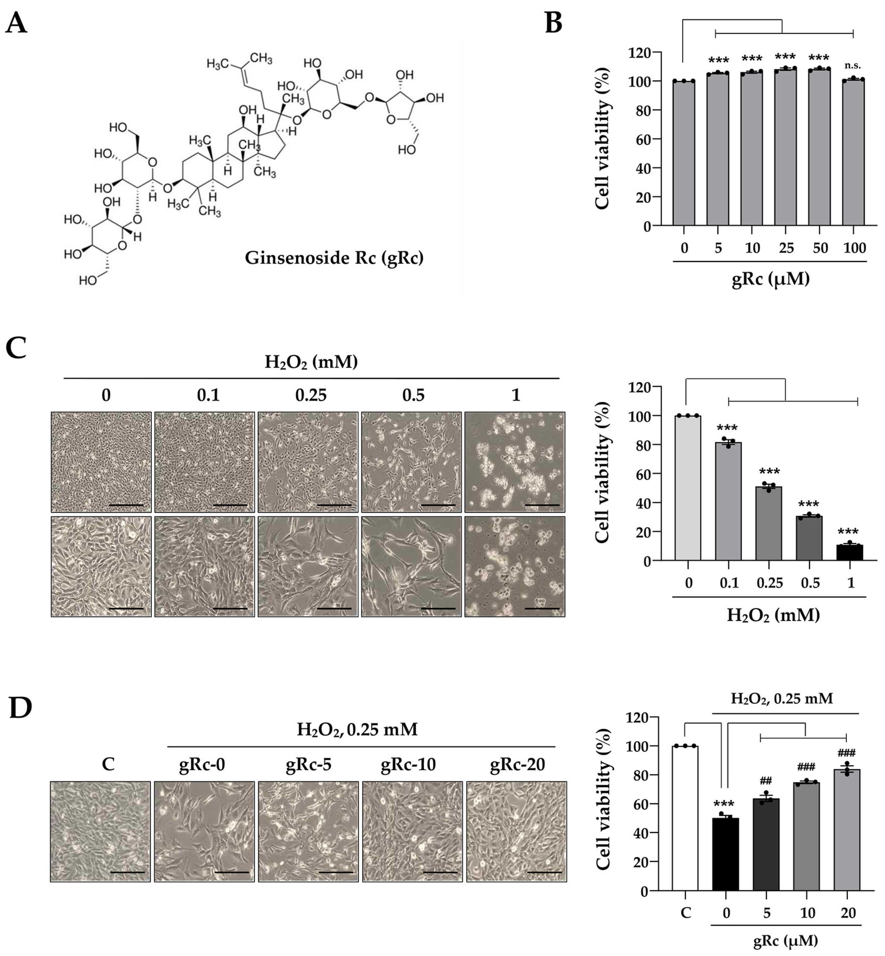 Ginsenoside Rc, an Active Component of Panax ginseng