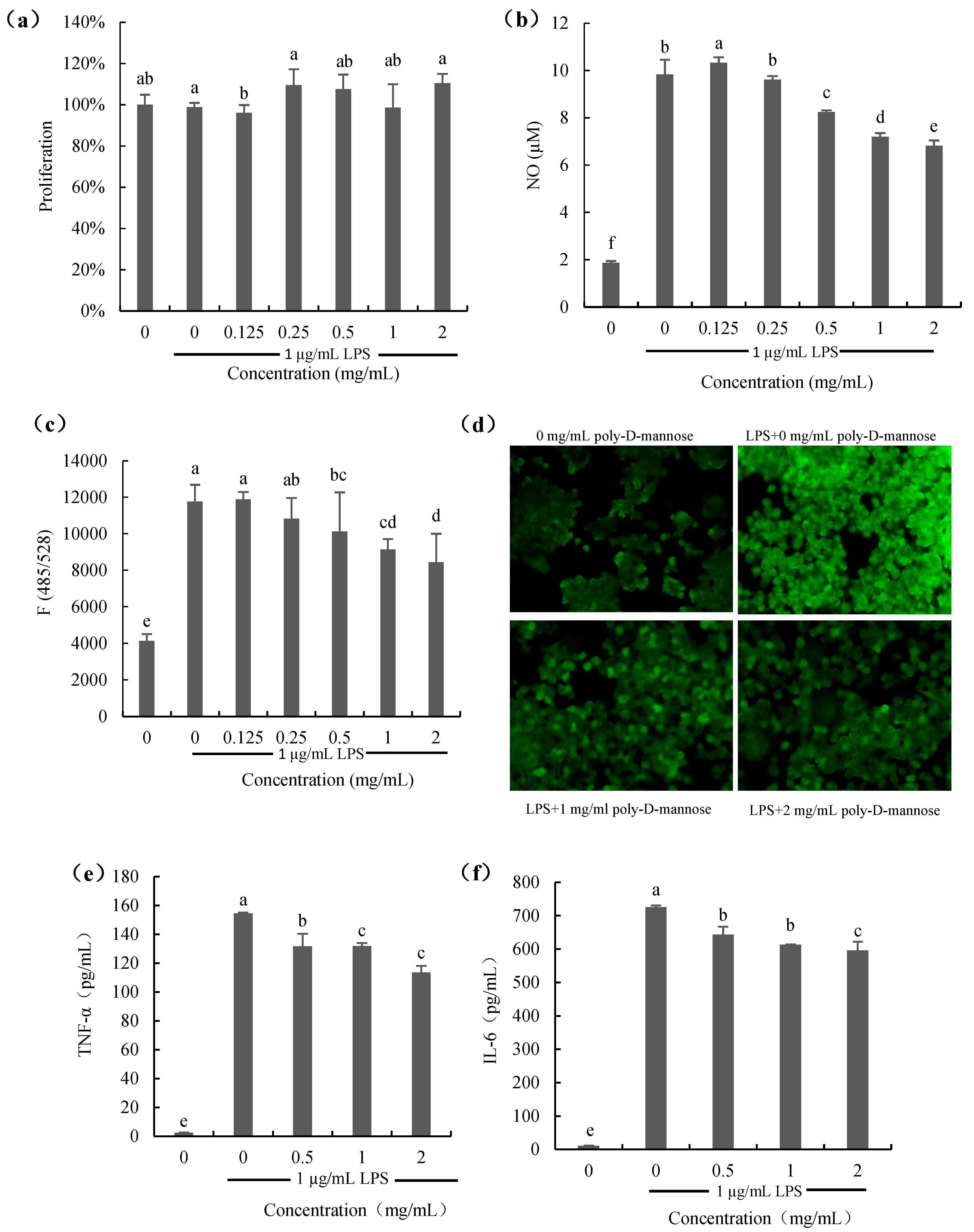Antioxidants 12 01579 g007 Antioxidants 12 01579 g007
