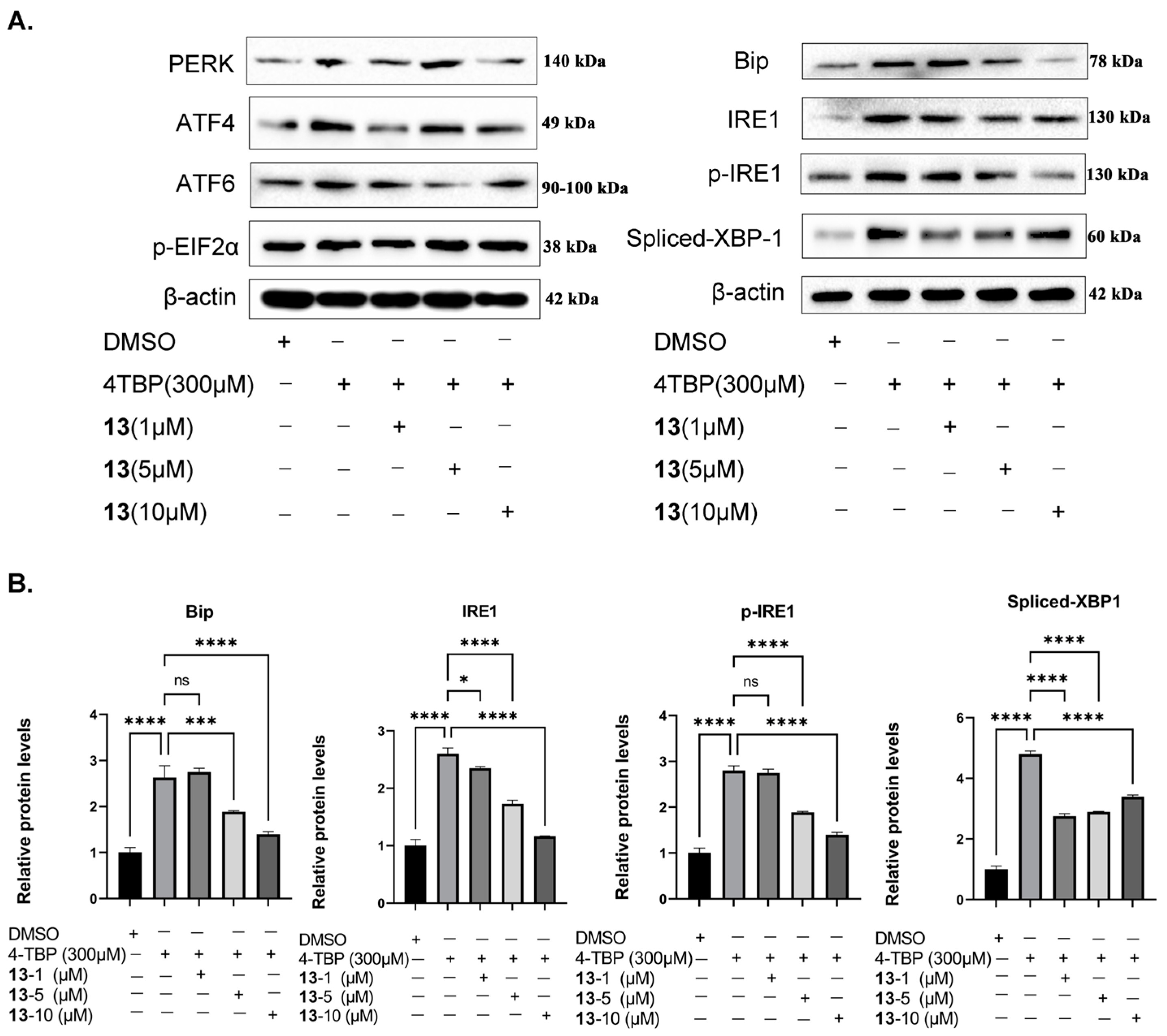 Antioxidants 12 01580 g011 Antioxidants 12 01580 g011