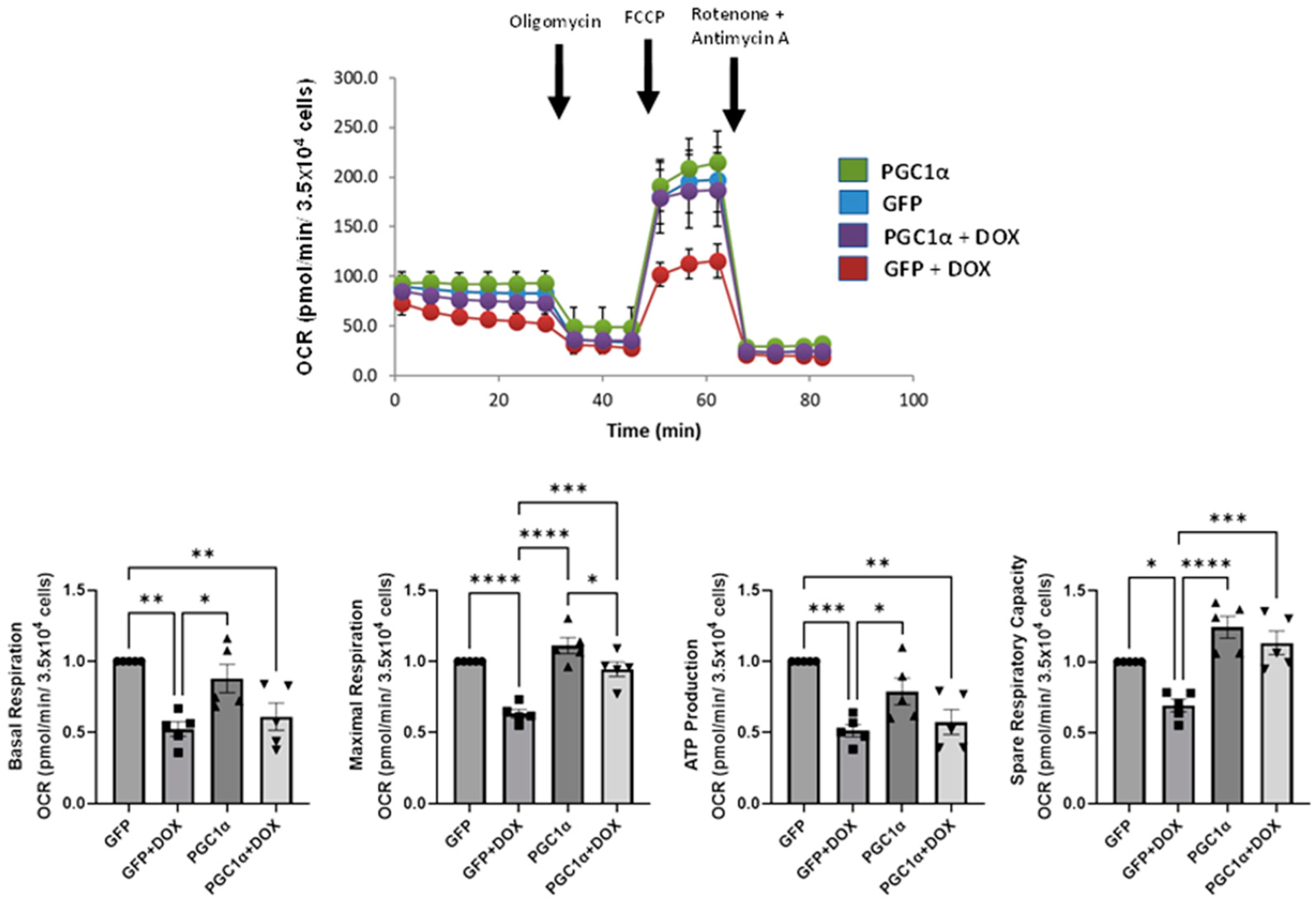 Antioxidants 12 01585 g007