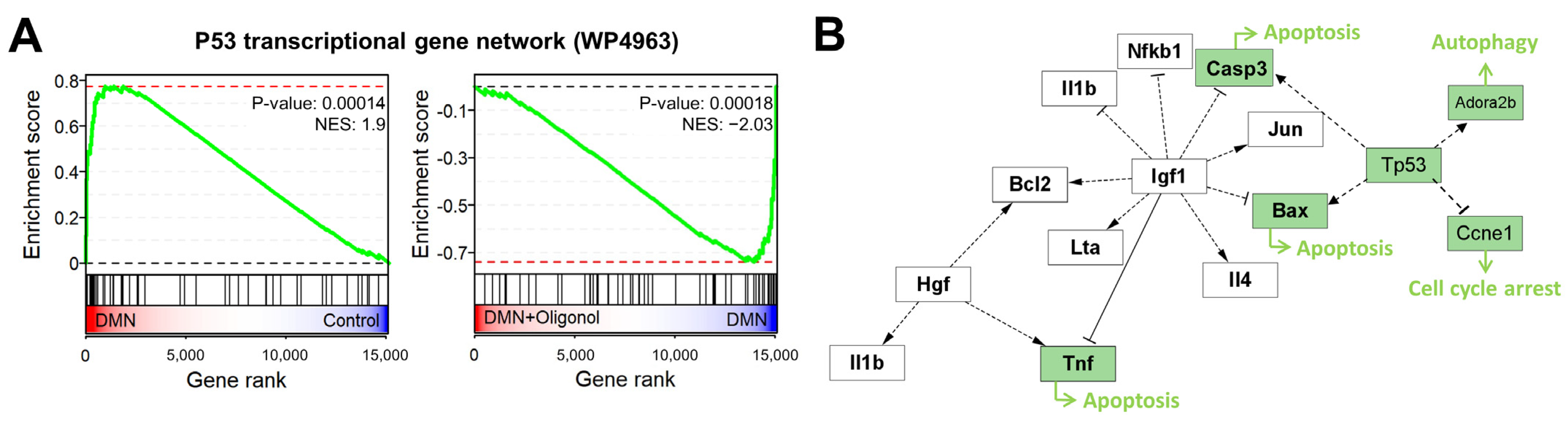 Antioxidants Free FullText Integrative Transcriptomic Analysis