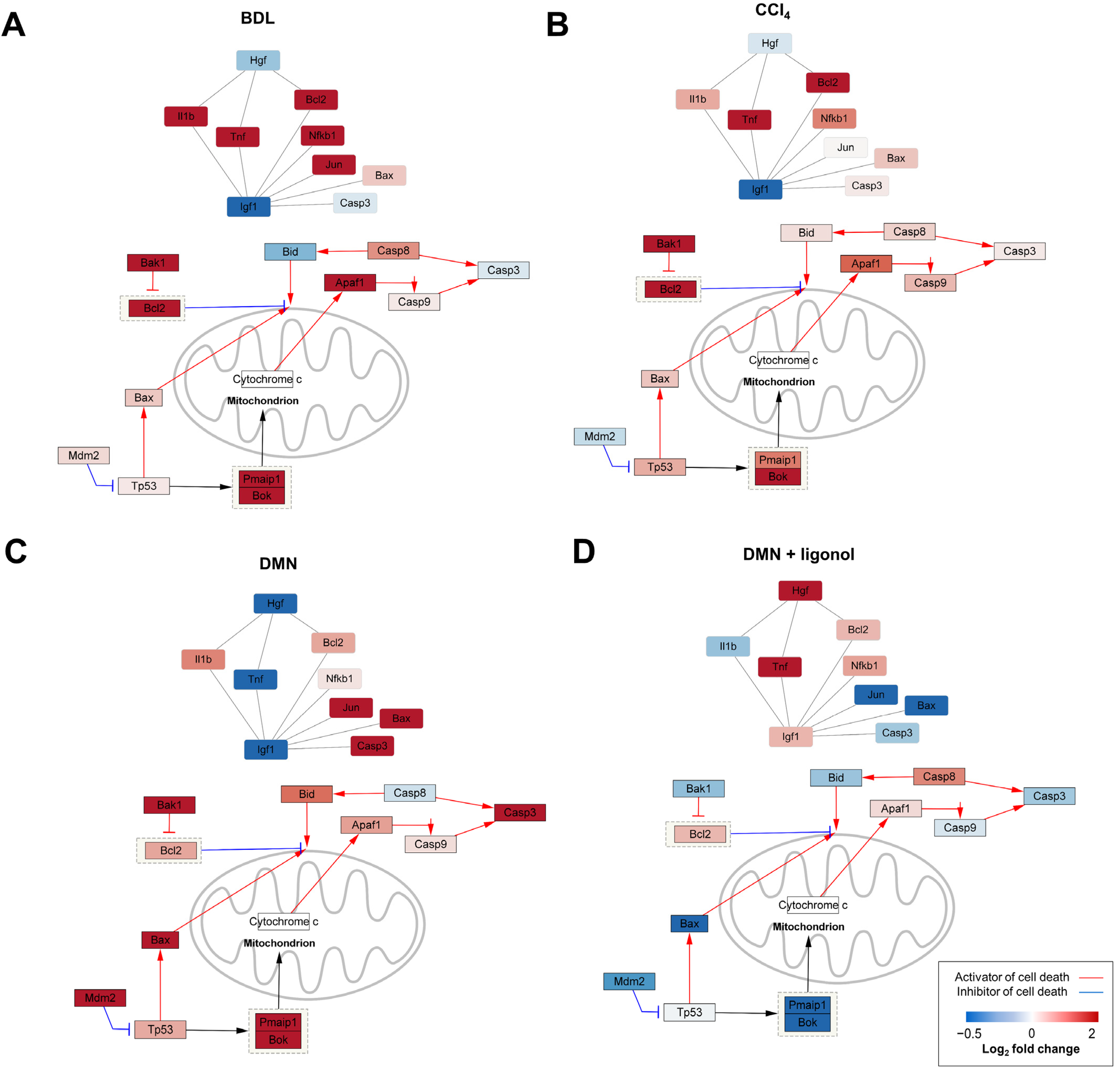 Antioxidants 12 01588 g004