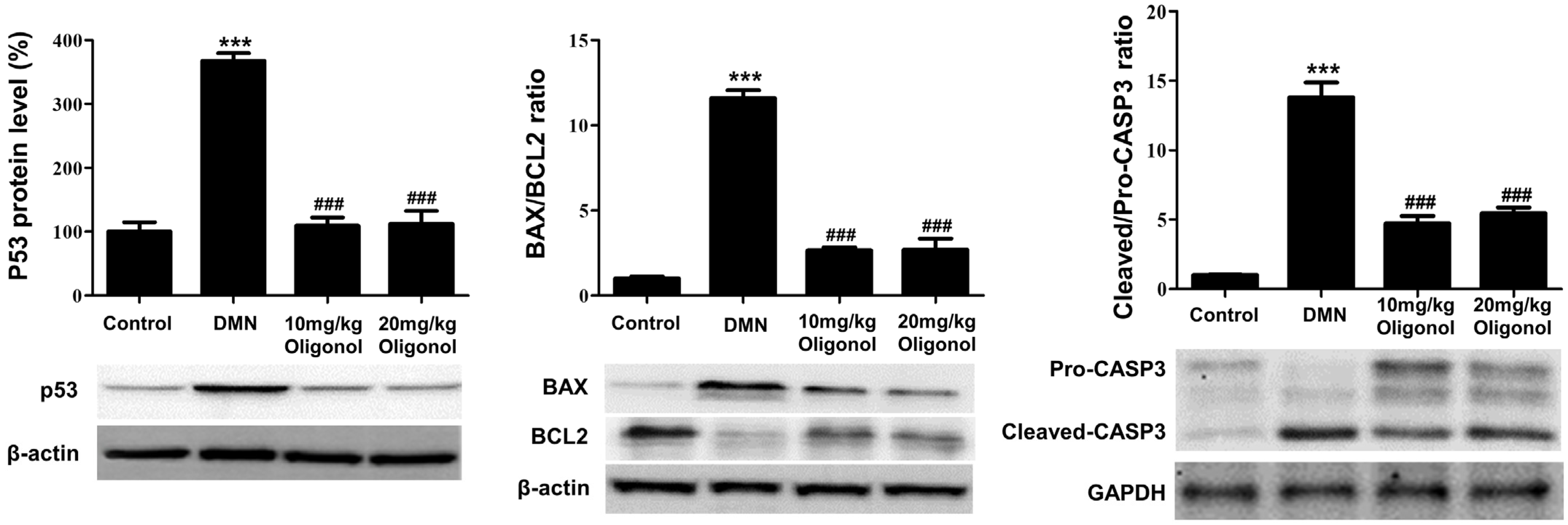 Antioxidants 12 01588 g005