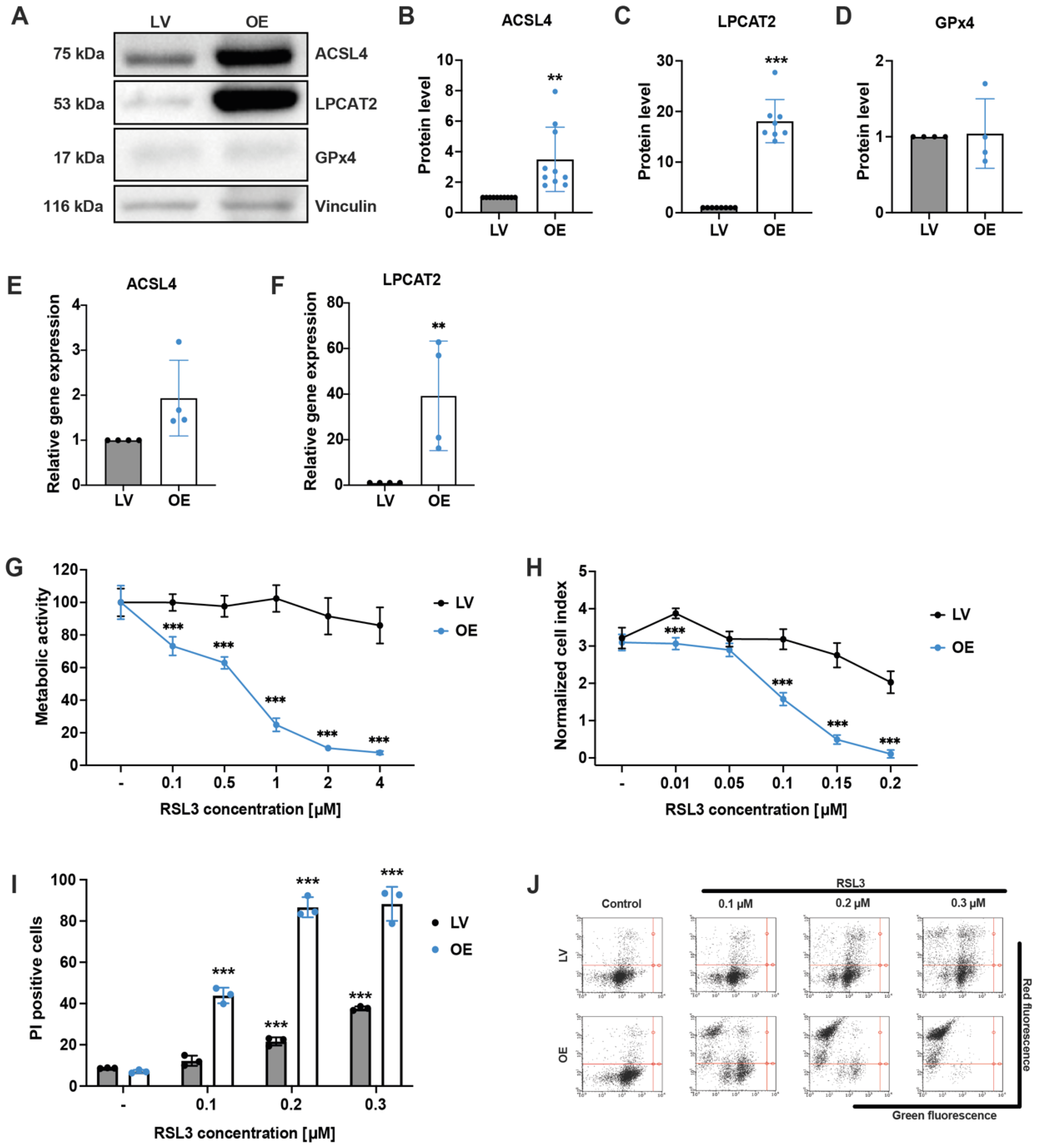 Antioxidants 12 01590 g001
