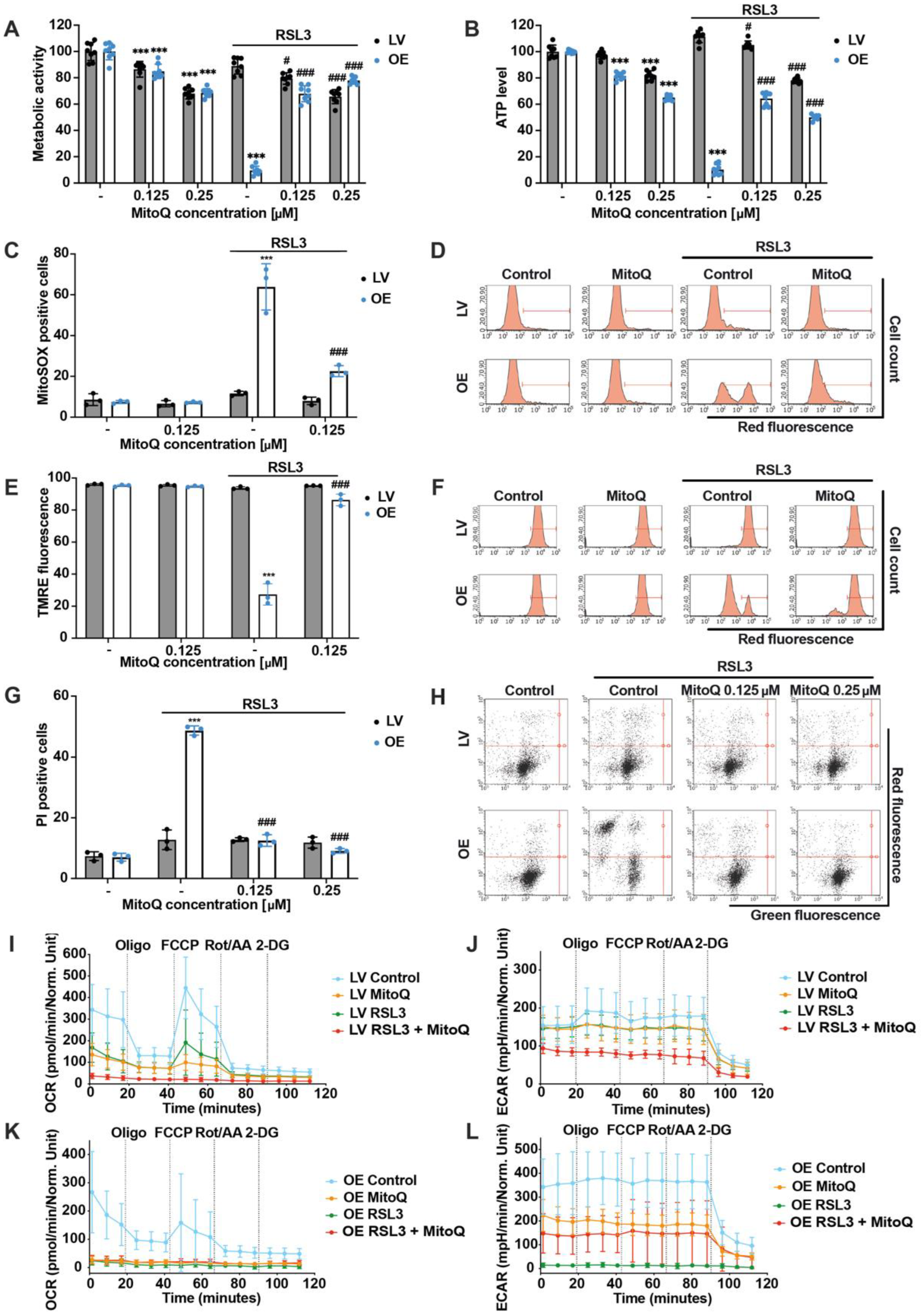 Antioxidants 12 01590 g005
