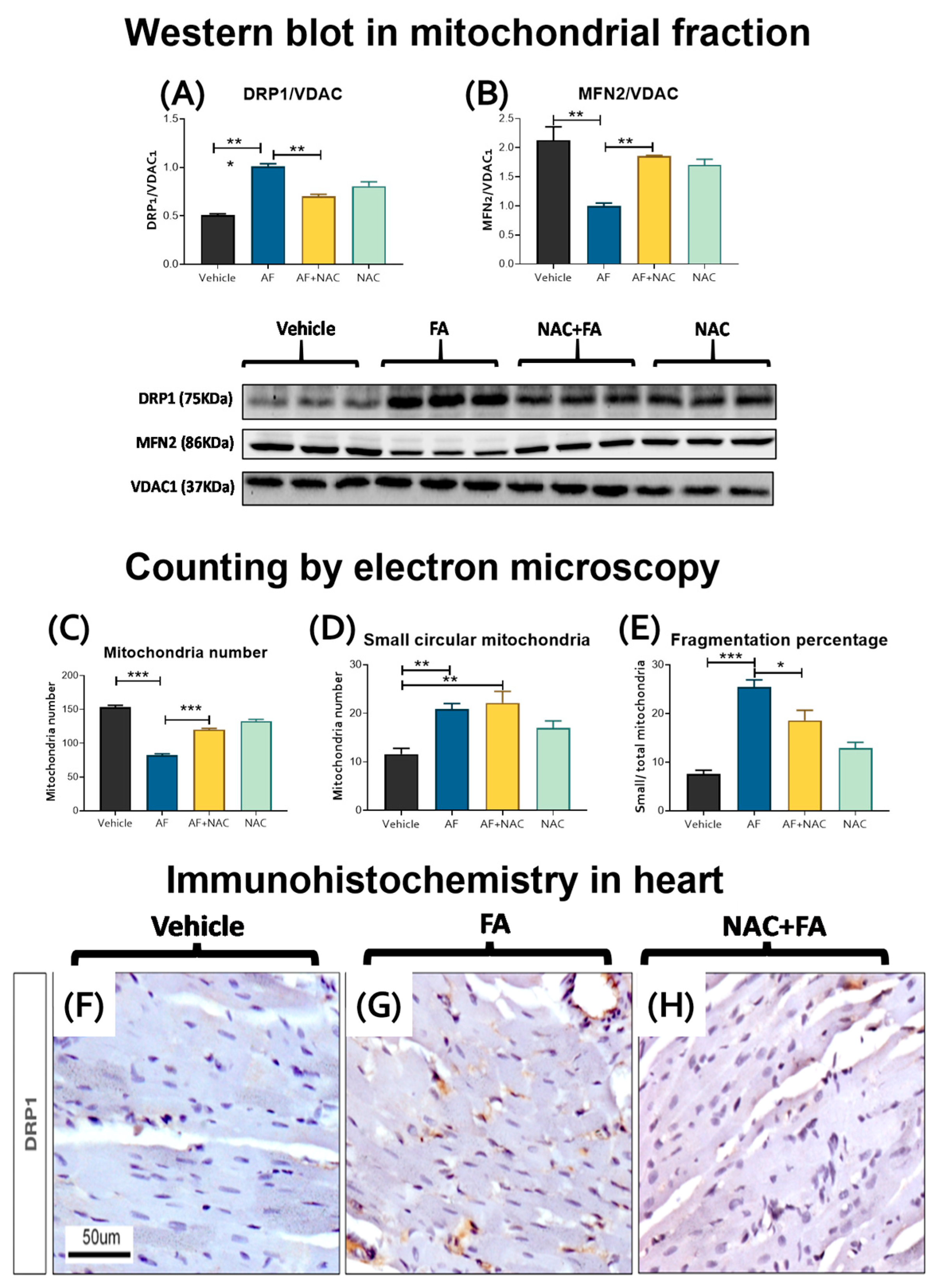 Antioxidants 12 01592 g009 Antioxidants 12 01592 g009