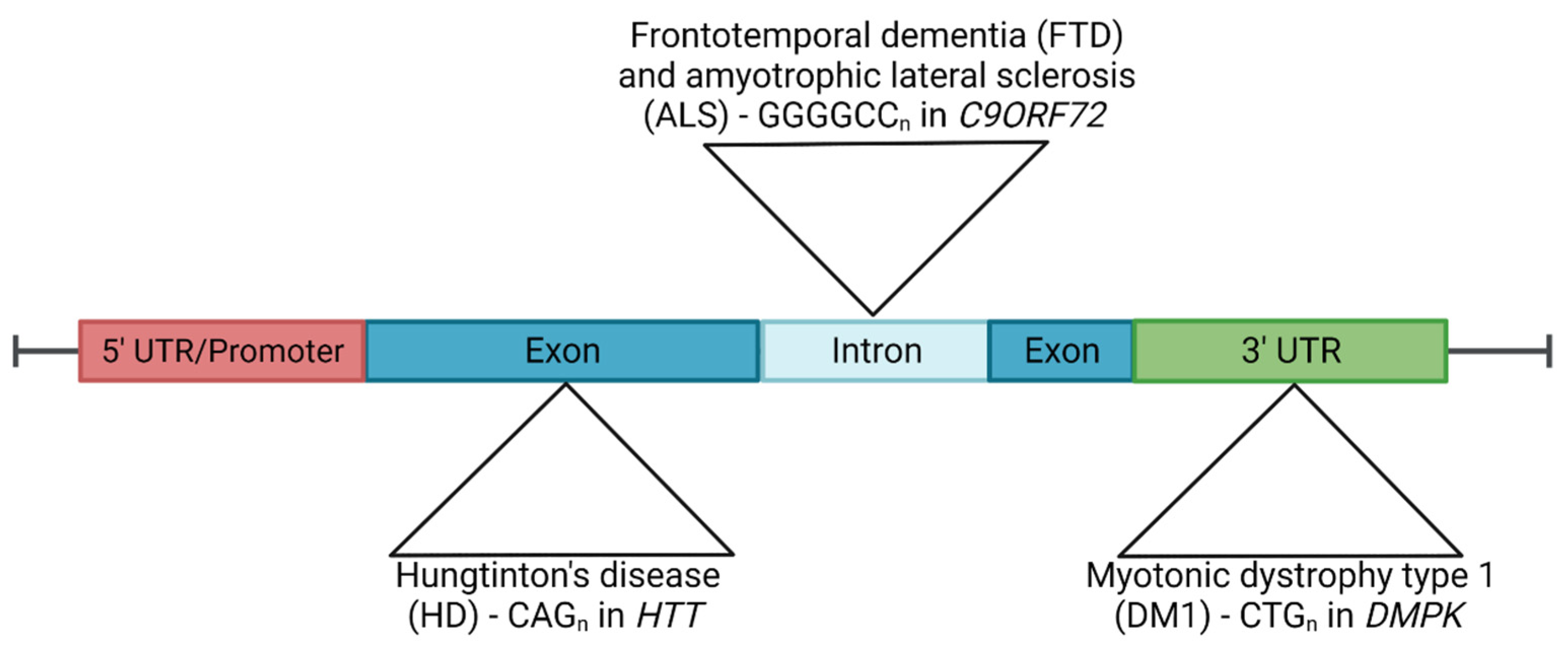 Antioxidants 12 01593 g001 Antioxidants 12 01593 g001