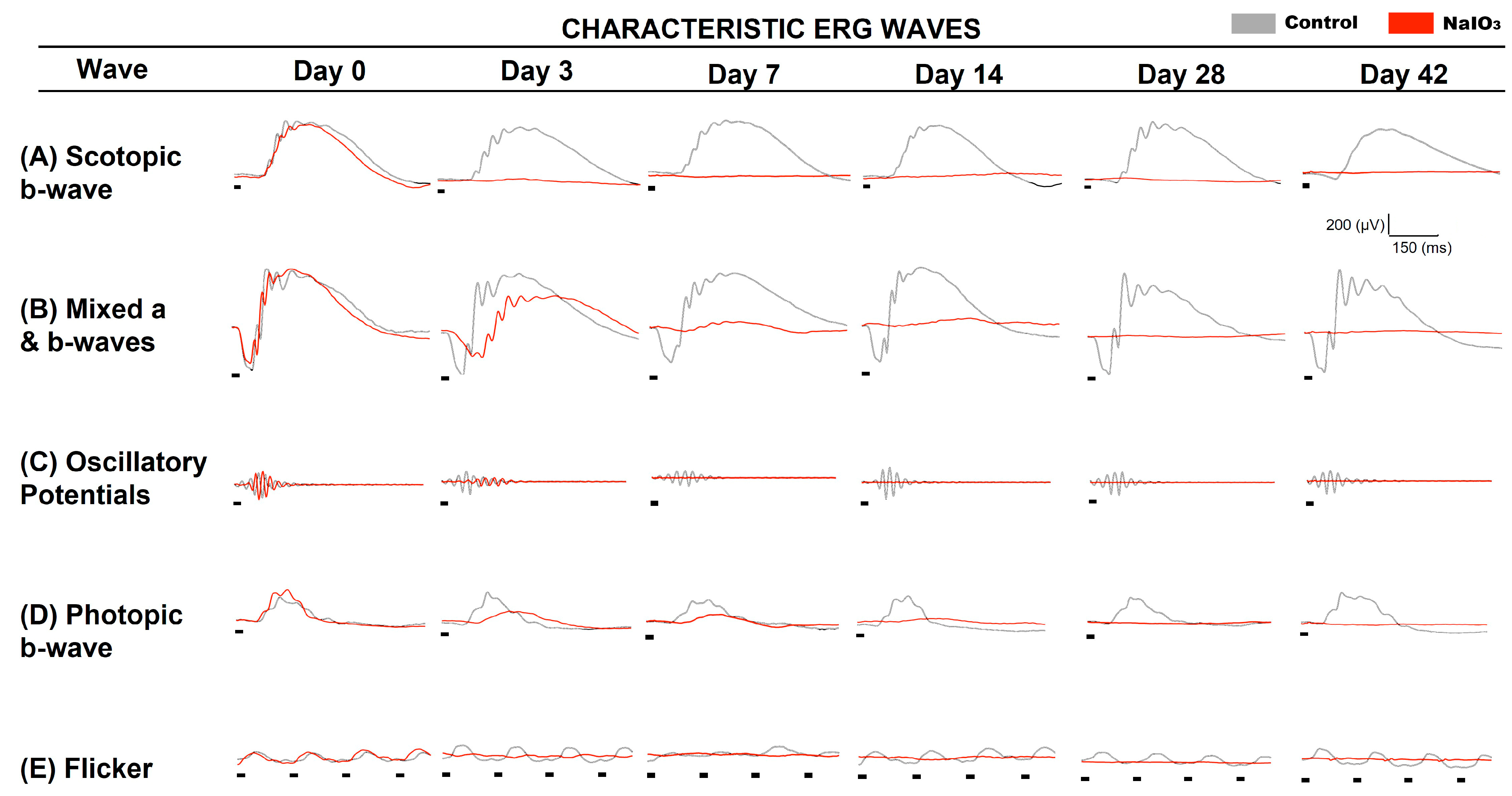 Antioxidants 12 01594 g004