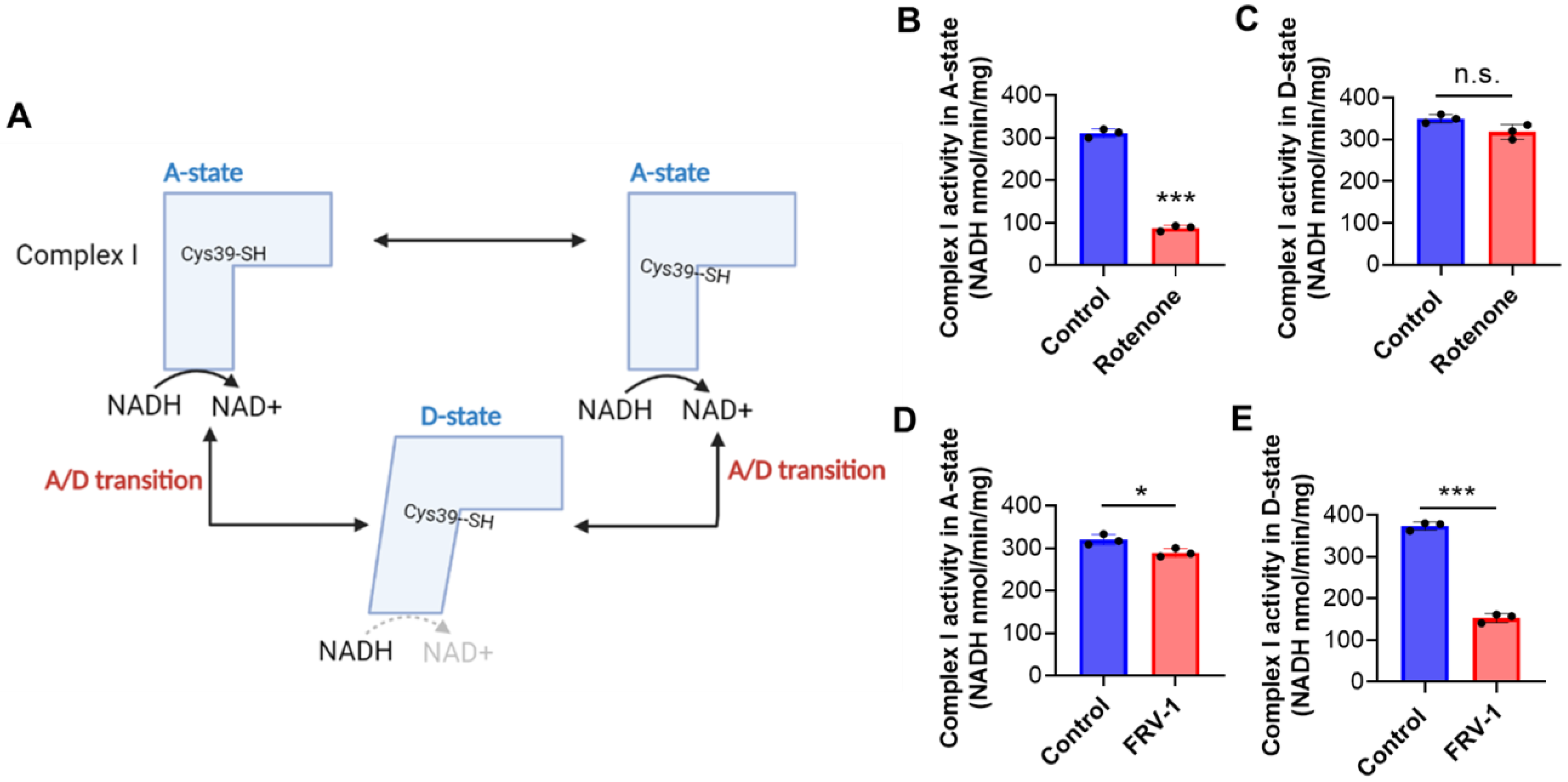 Antioxidants 12 01597 g002 Antioxidants 12 01597 g002