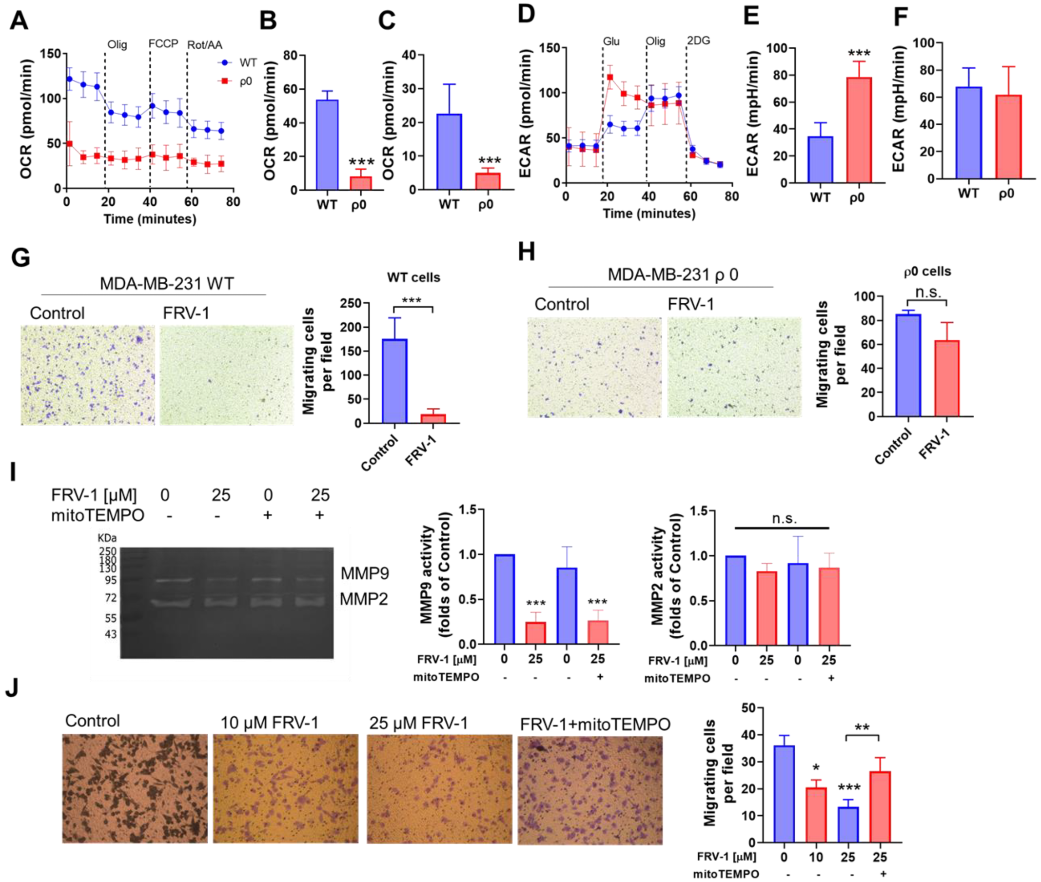 Antioxidants 12 01597 g008 Antioxidants 12 01597 g008