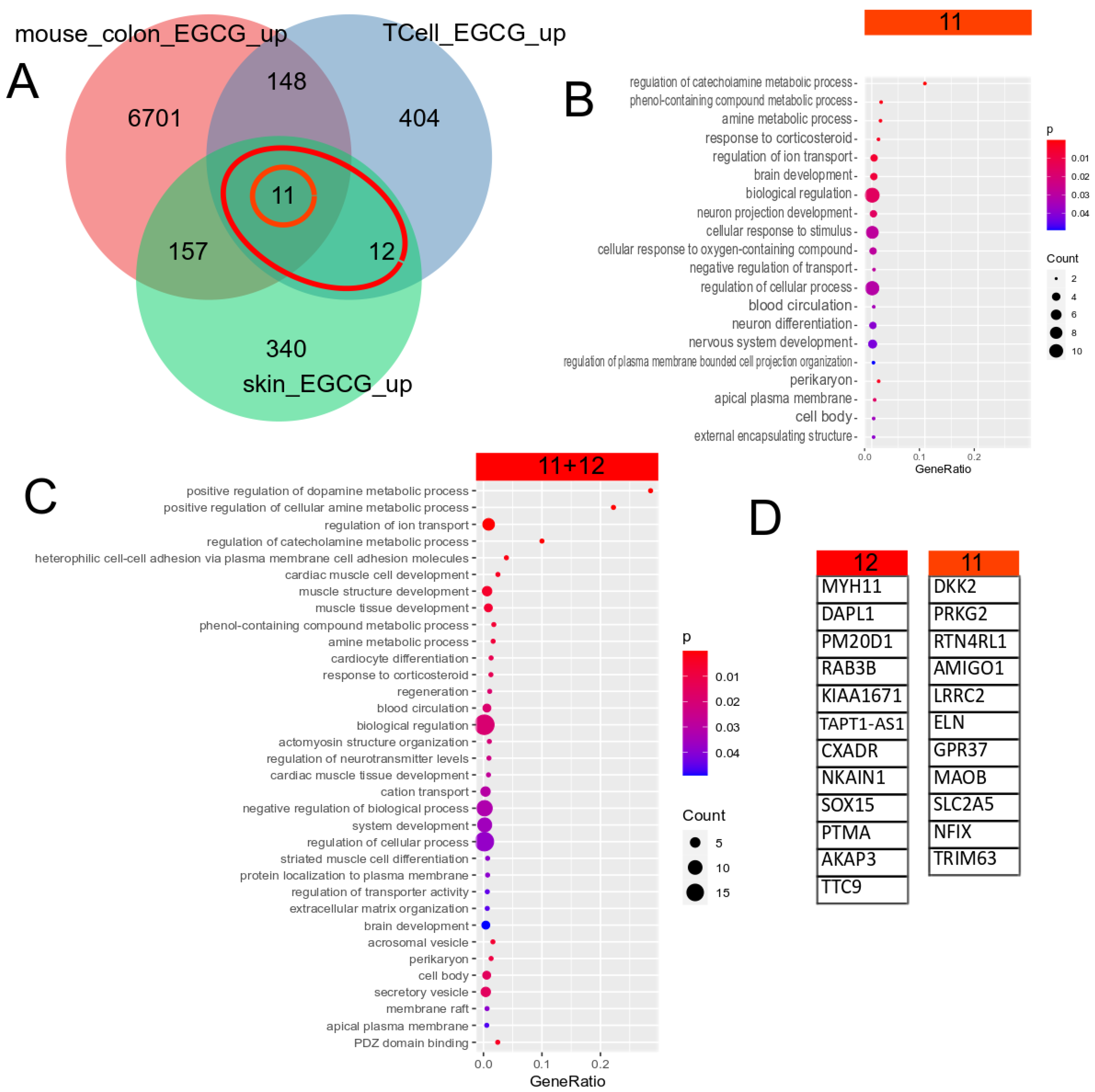 Antioxidants 12 01599 g001 Antioxidants 12 01599 g001