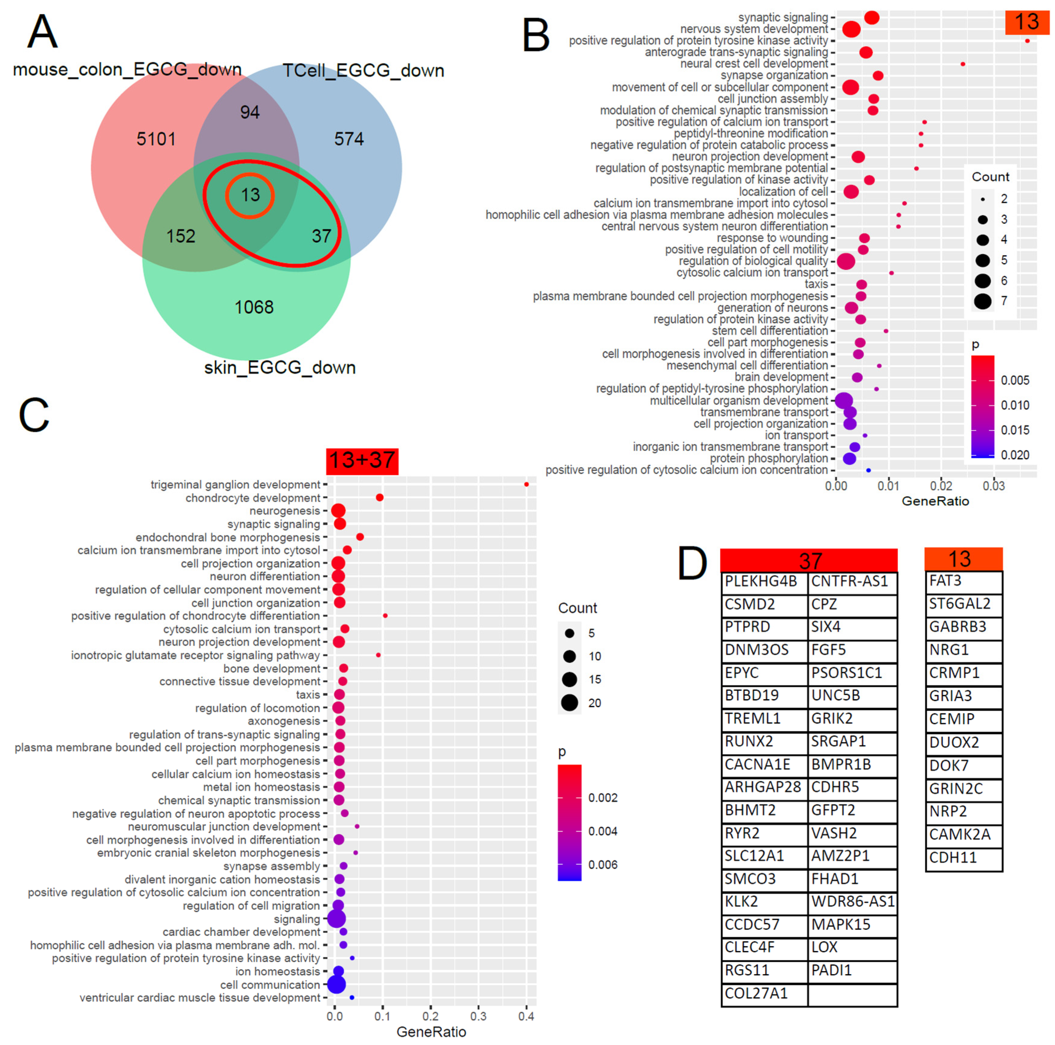 Antioxidants 12 01599 g002 Antioxidants 12 01599 g002