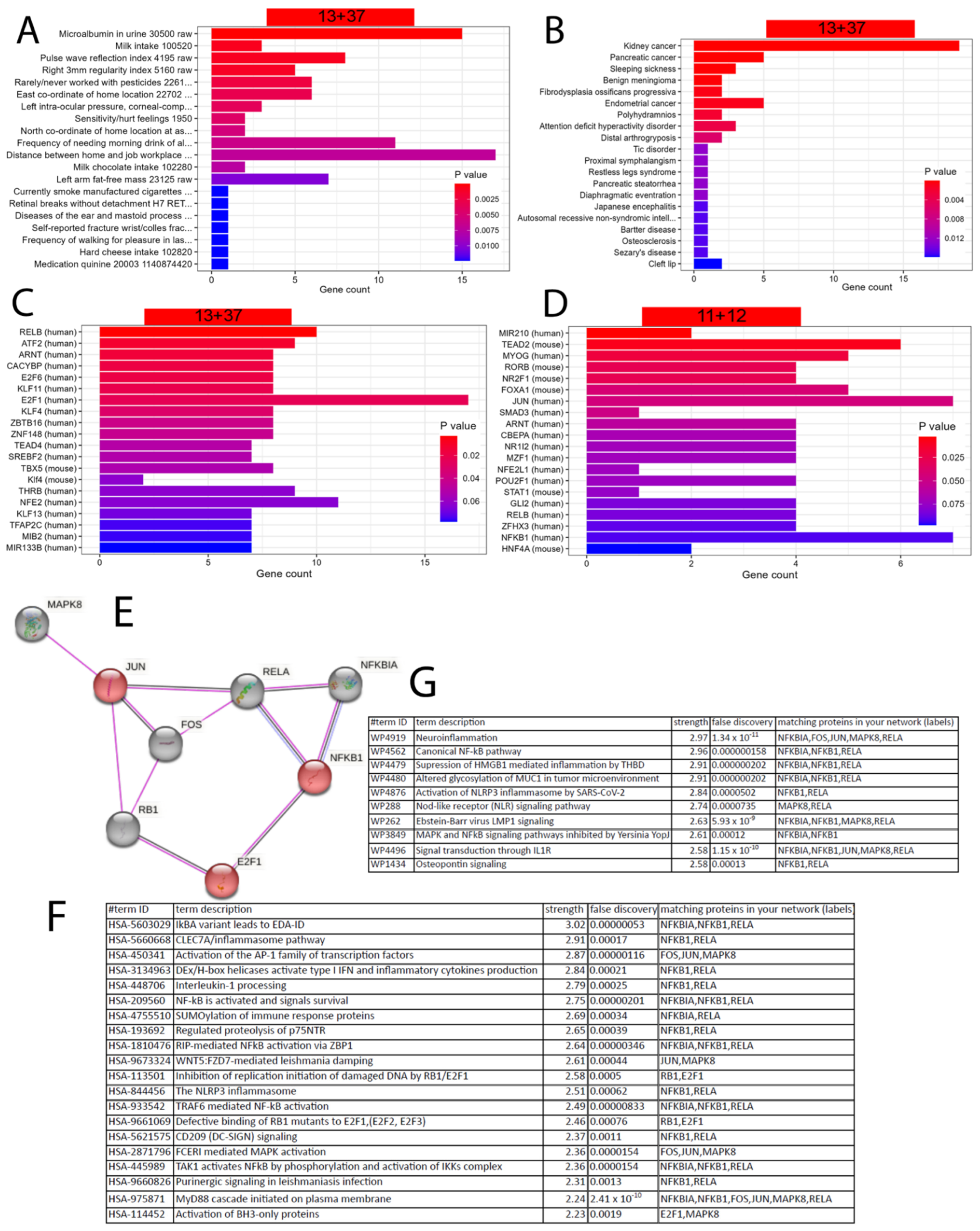 Antioxidants 12 01599 g003 Antioxidants 12 01599 g003