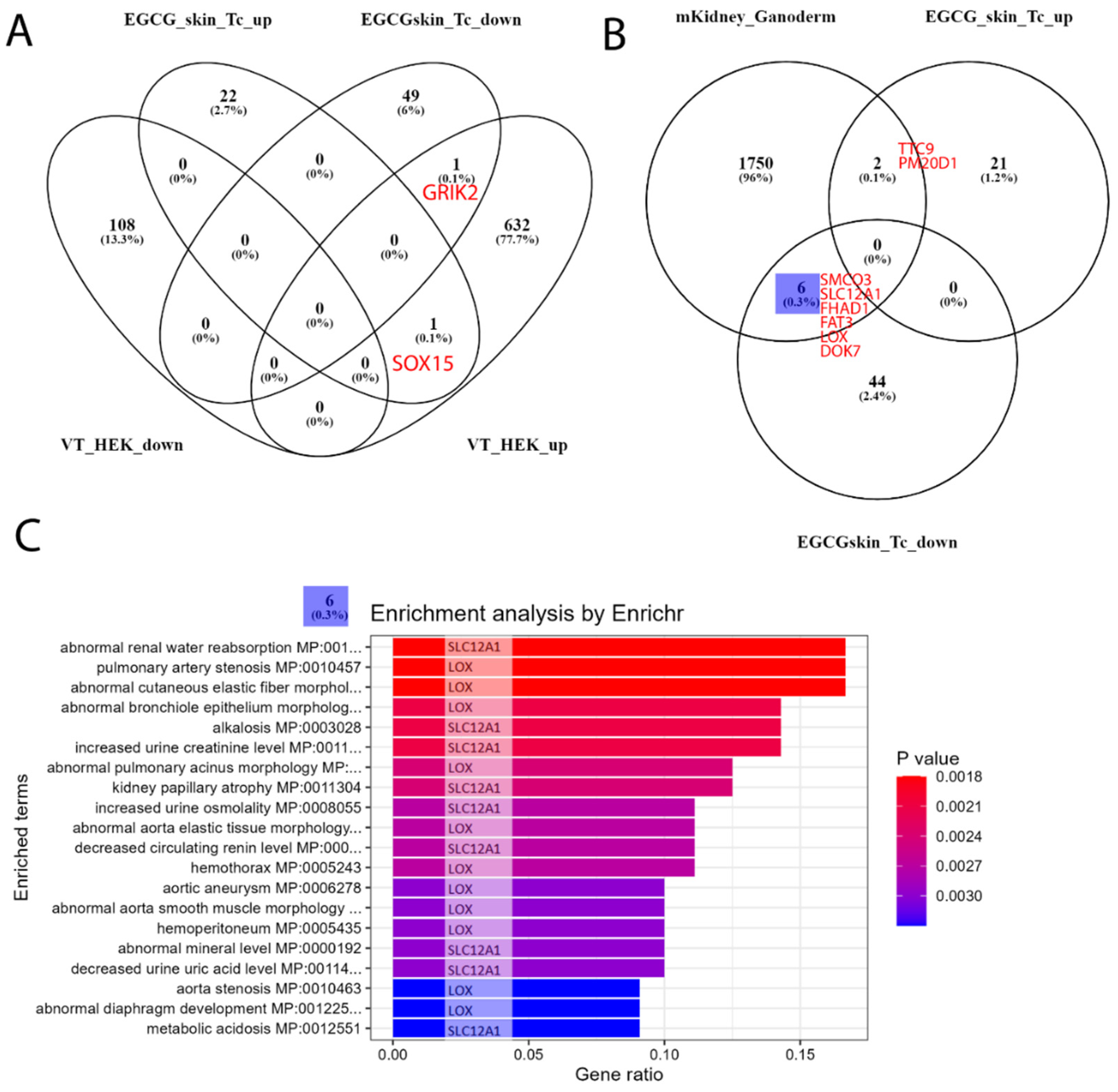 Antioxidants 12 01599 g004 Antioxidants 12 01599 g004