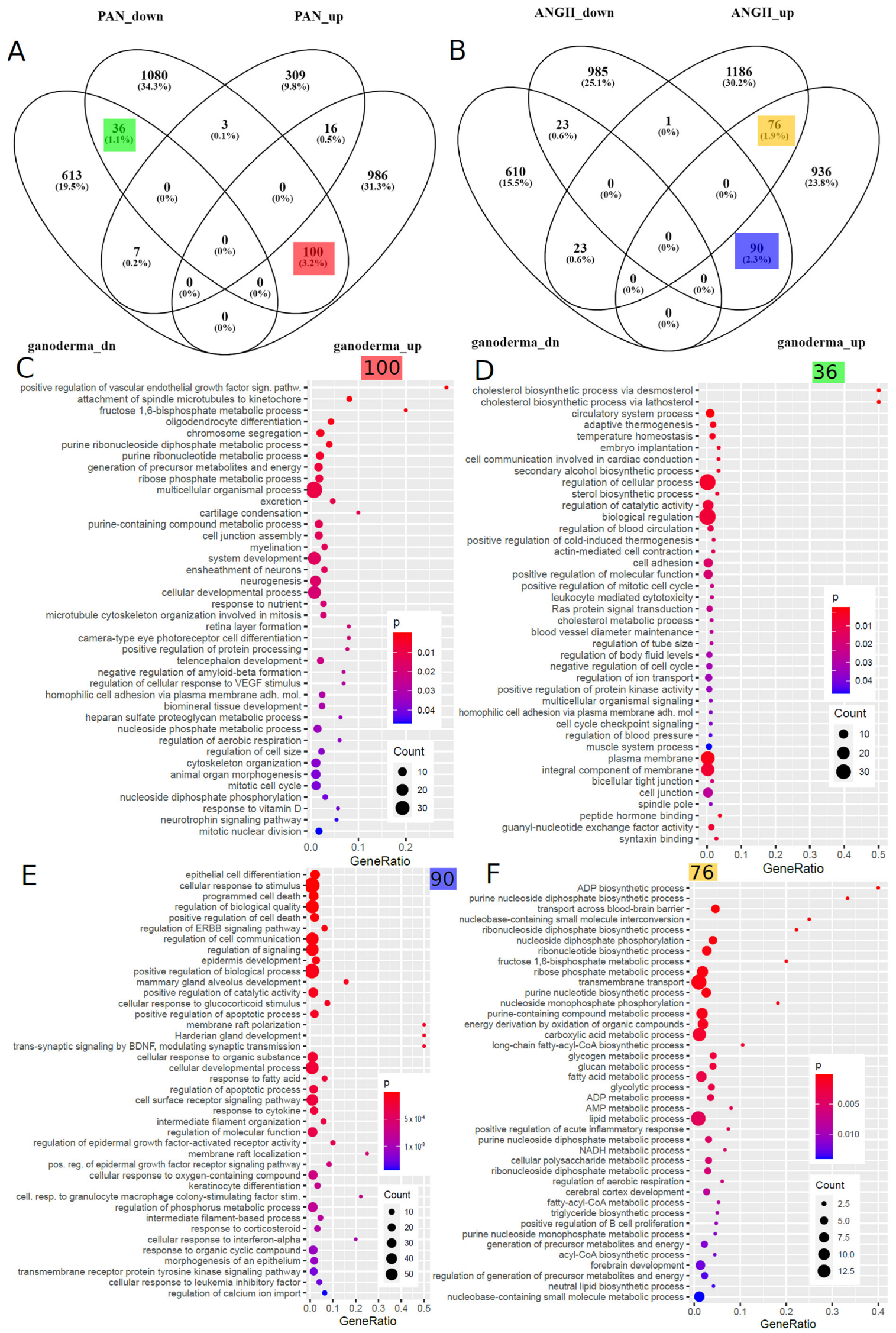 Antioxidants 12 01599 g005 Antioxidants 12 01599 g005
