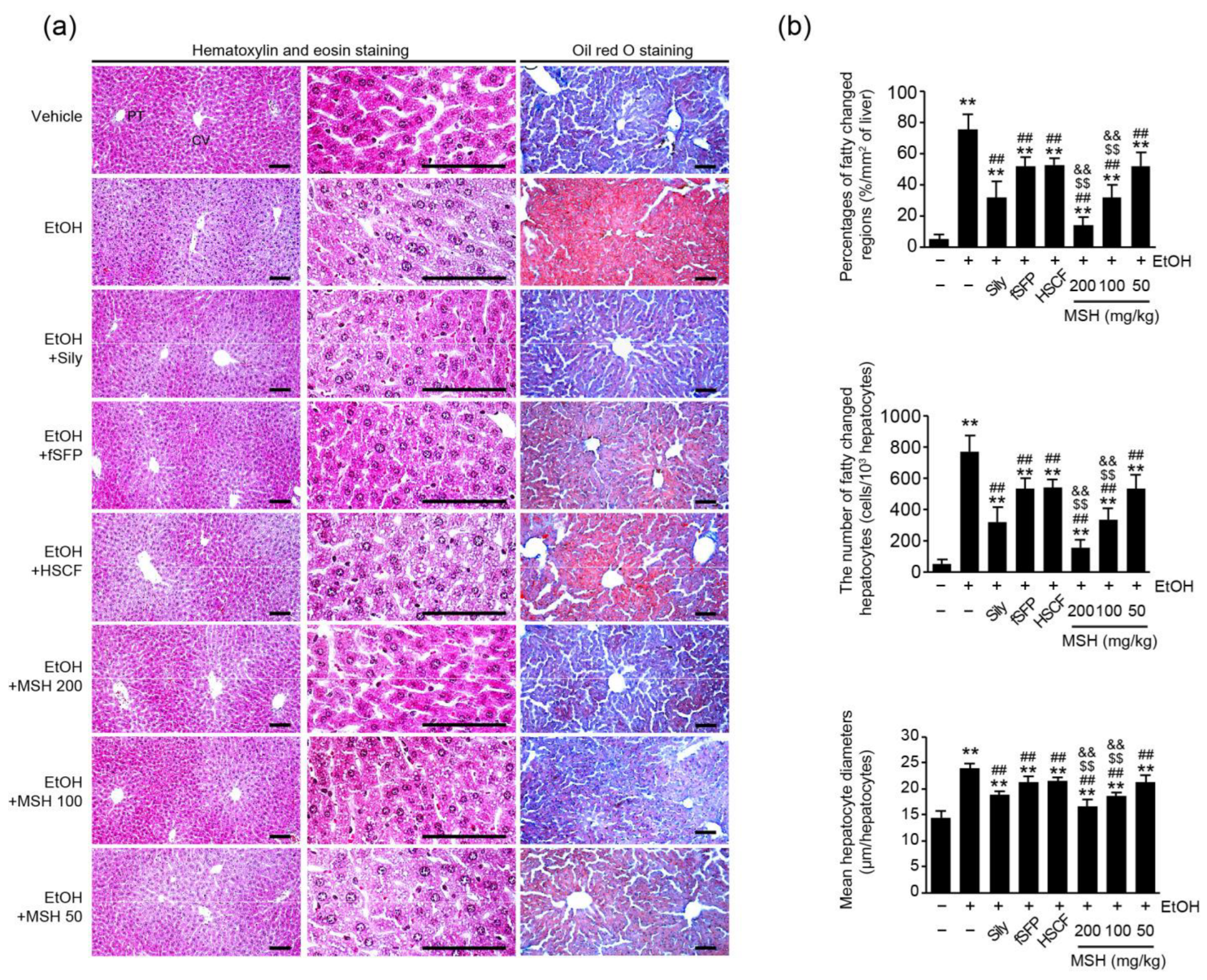 Antioxidants 12 01602 g002 Antioxidants 12 01602 g002