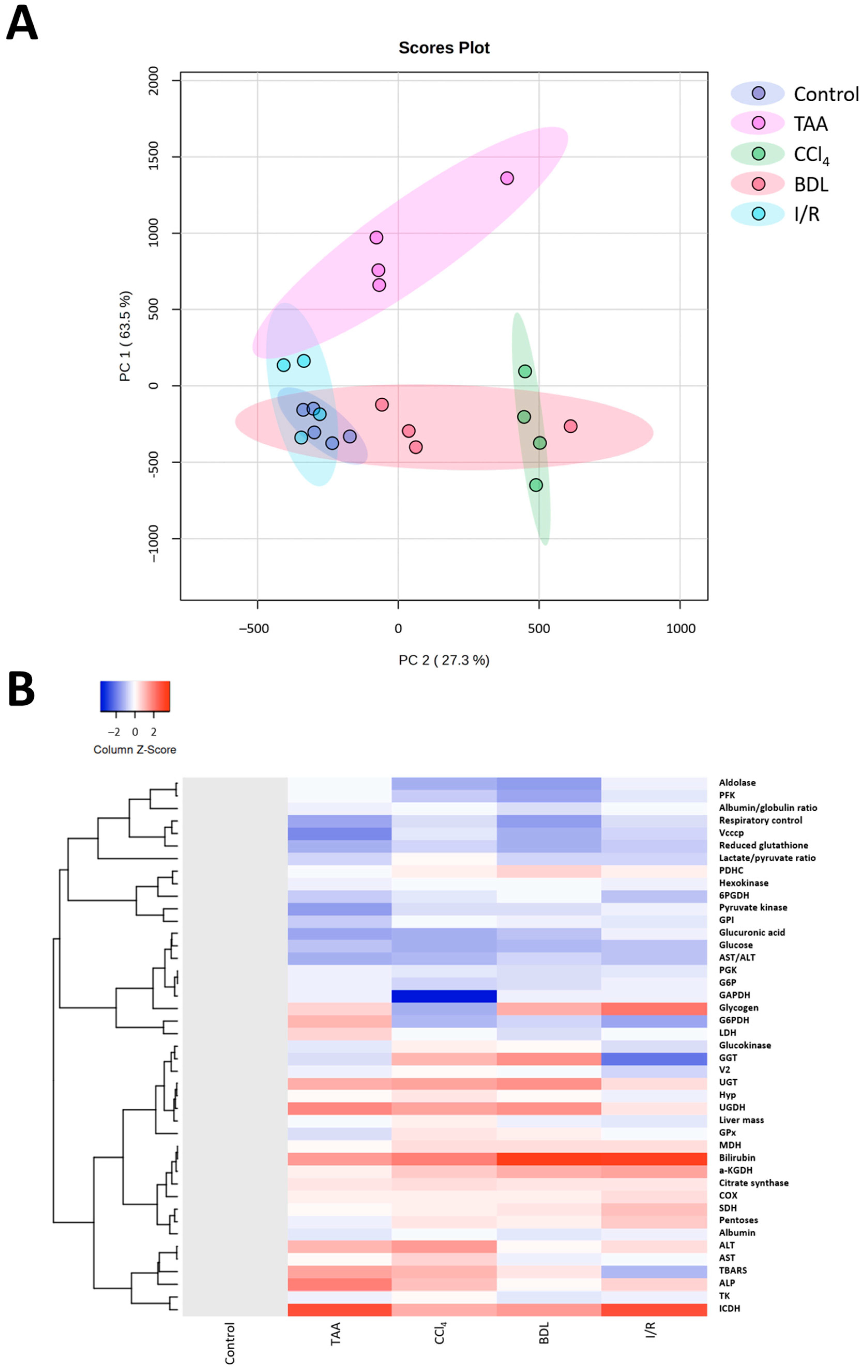 Antioxidants 12 01604 g012 Antioxidants 12 01604 g012