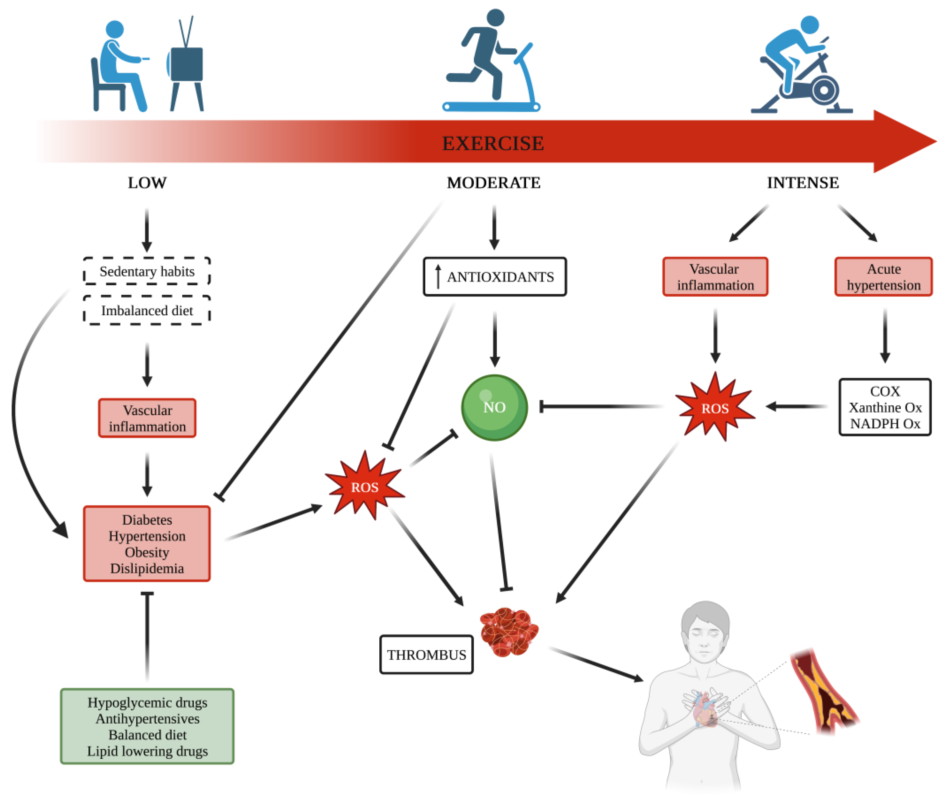Antioxidants Free Full-Text Impact of Physical Exercise on Platelets Focus on Its Effects in Metabolic Chronic Diseases picture