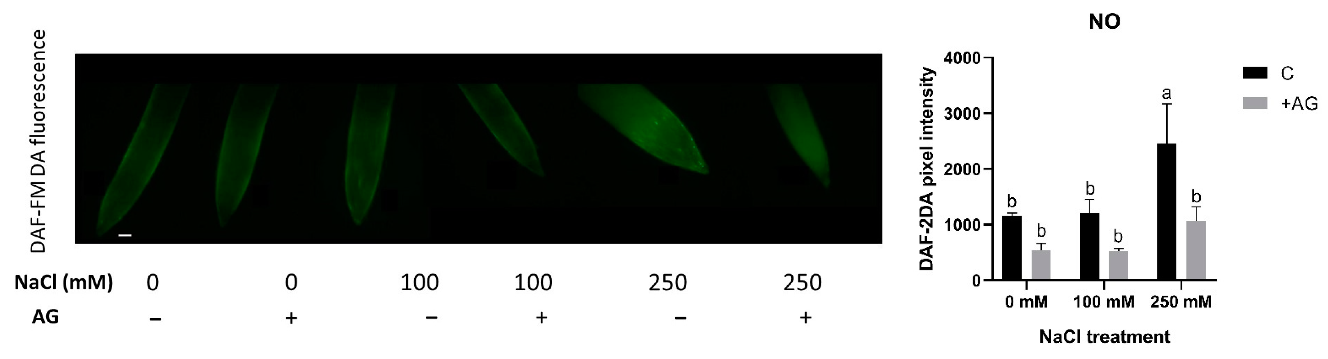 Antioxidants 12 01614 g007