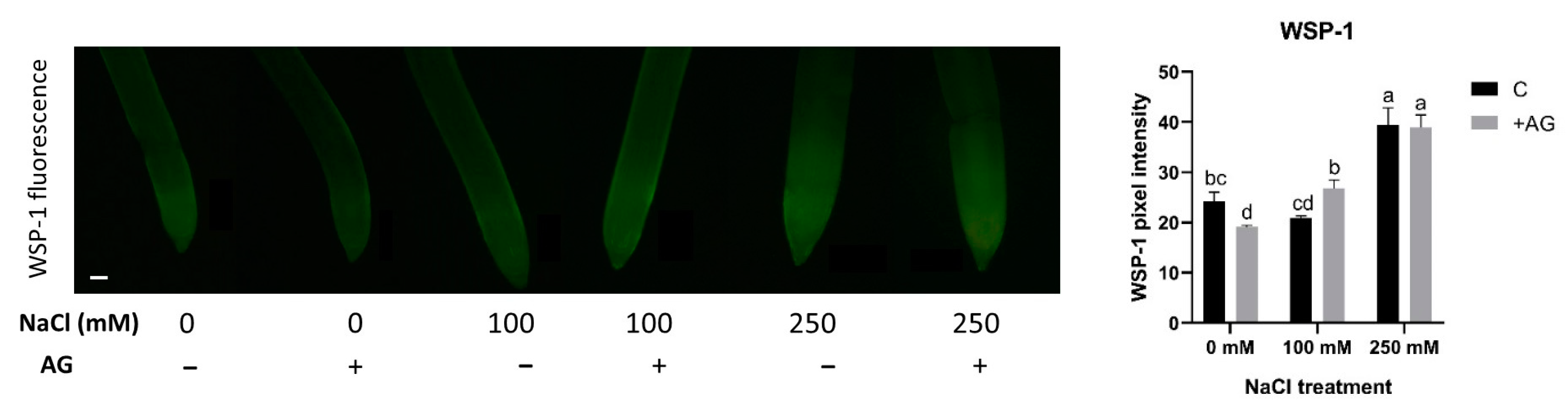 Antioxidants 12 01614 g009