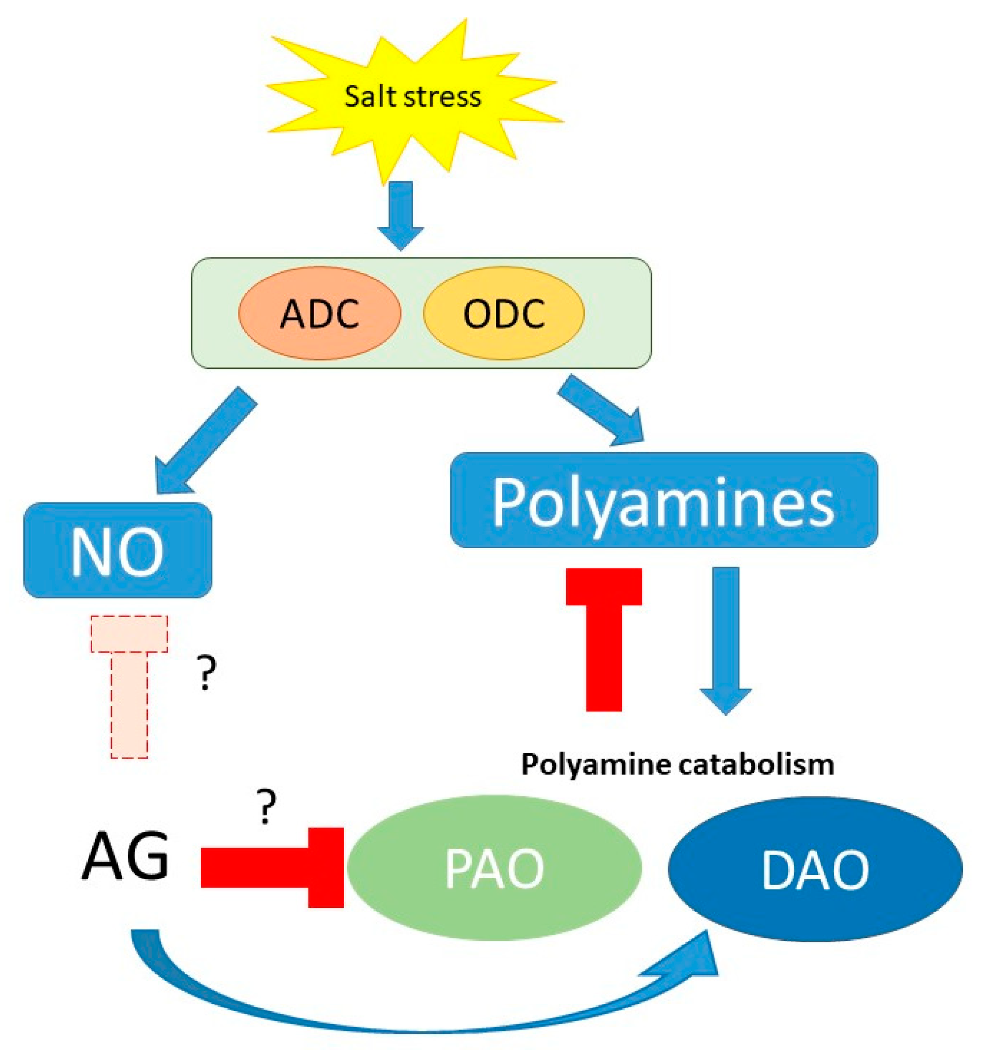 Antioxidants 12 01614 g010