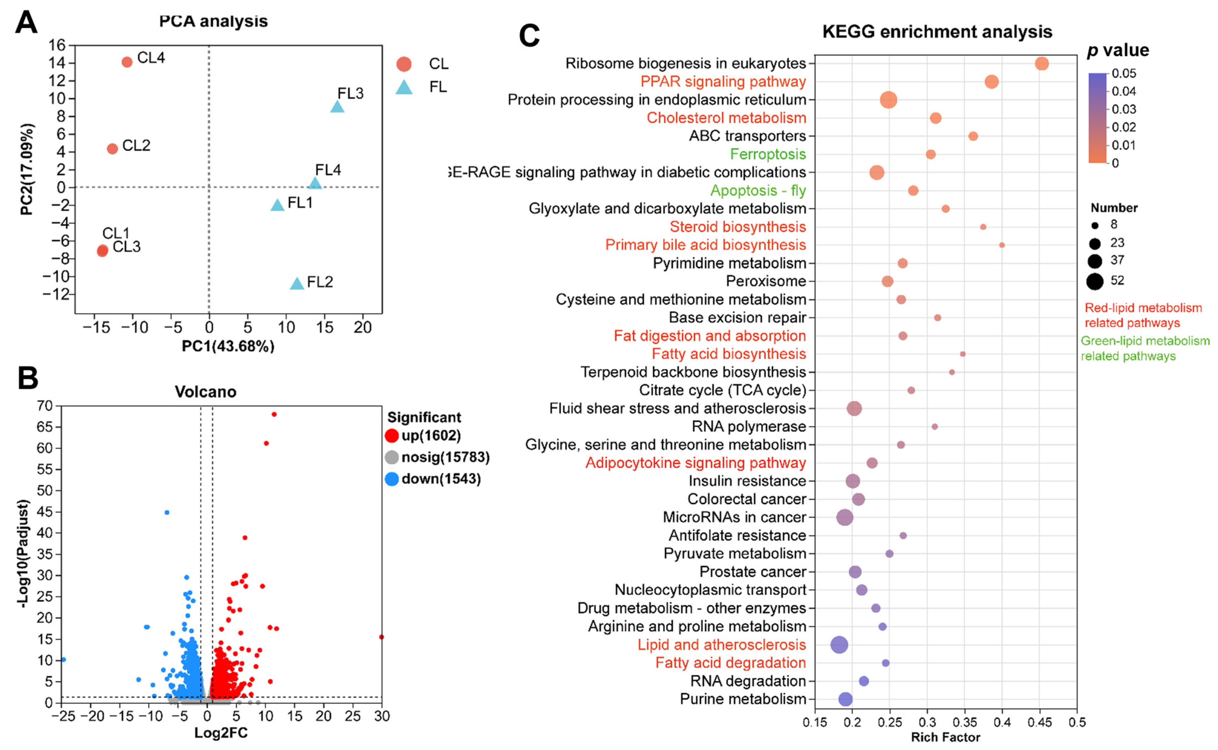 Antioxidants 12 01615 g003