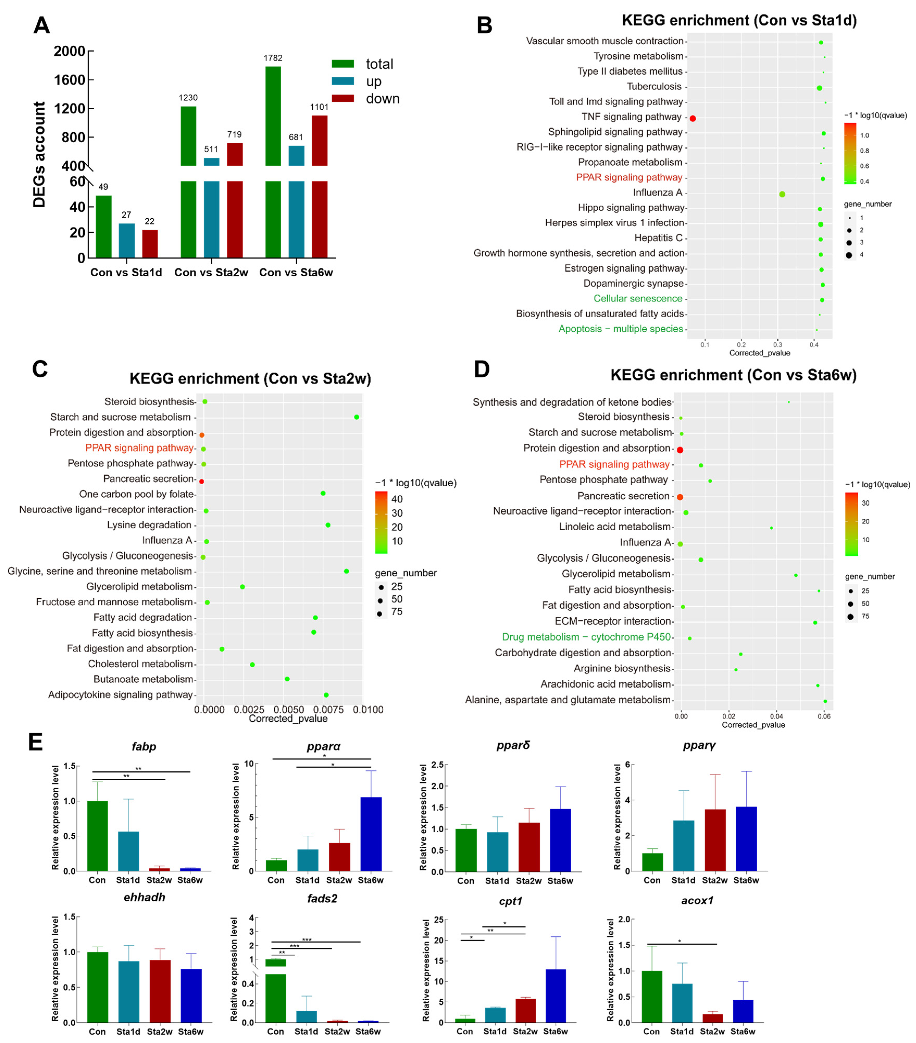 Antioxidants 12 01615 g006