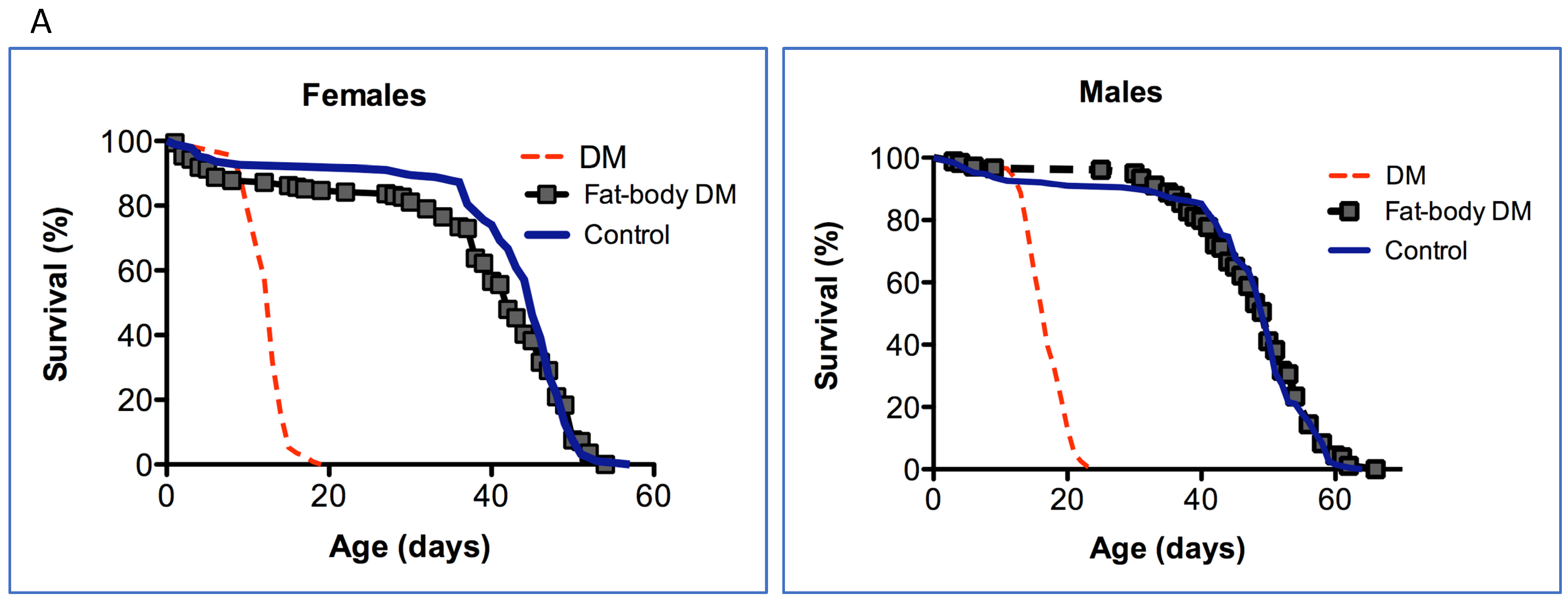Antioxidants 12 01616 g001a Antioxidants 12 01616 g001a