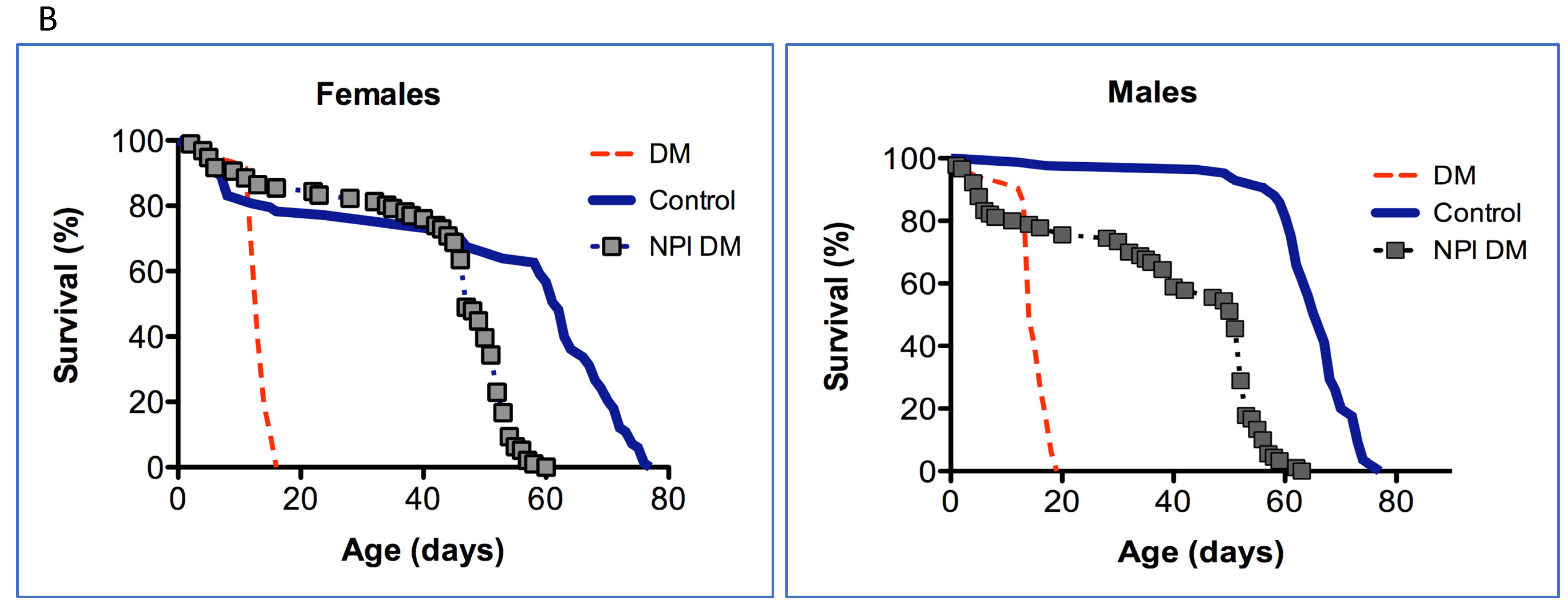 Antioxidants 12 01616 g001b Antioxidants 12 01616 g001b