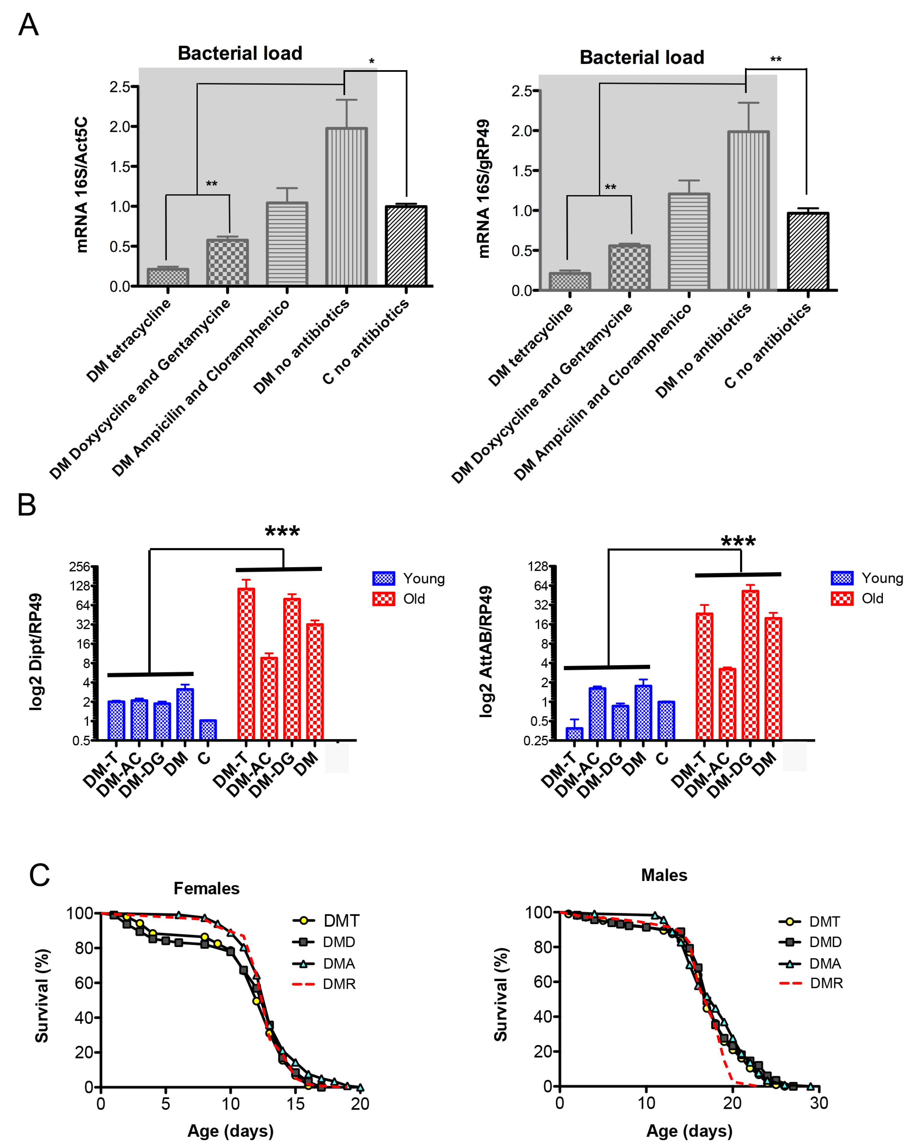 Antioxidants 12 01616 g004 Antioxidants 12 01616 g004