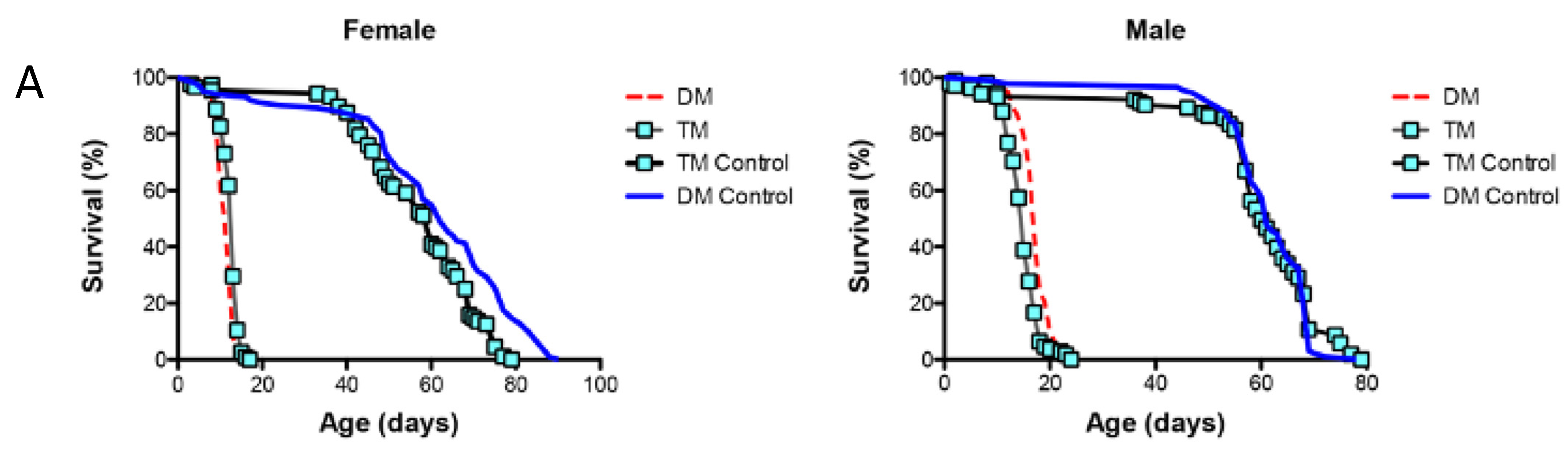 Antioxidants 12 01616 g006a Antioxidants 12 01616 g006a