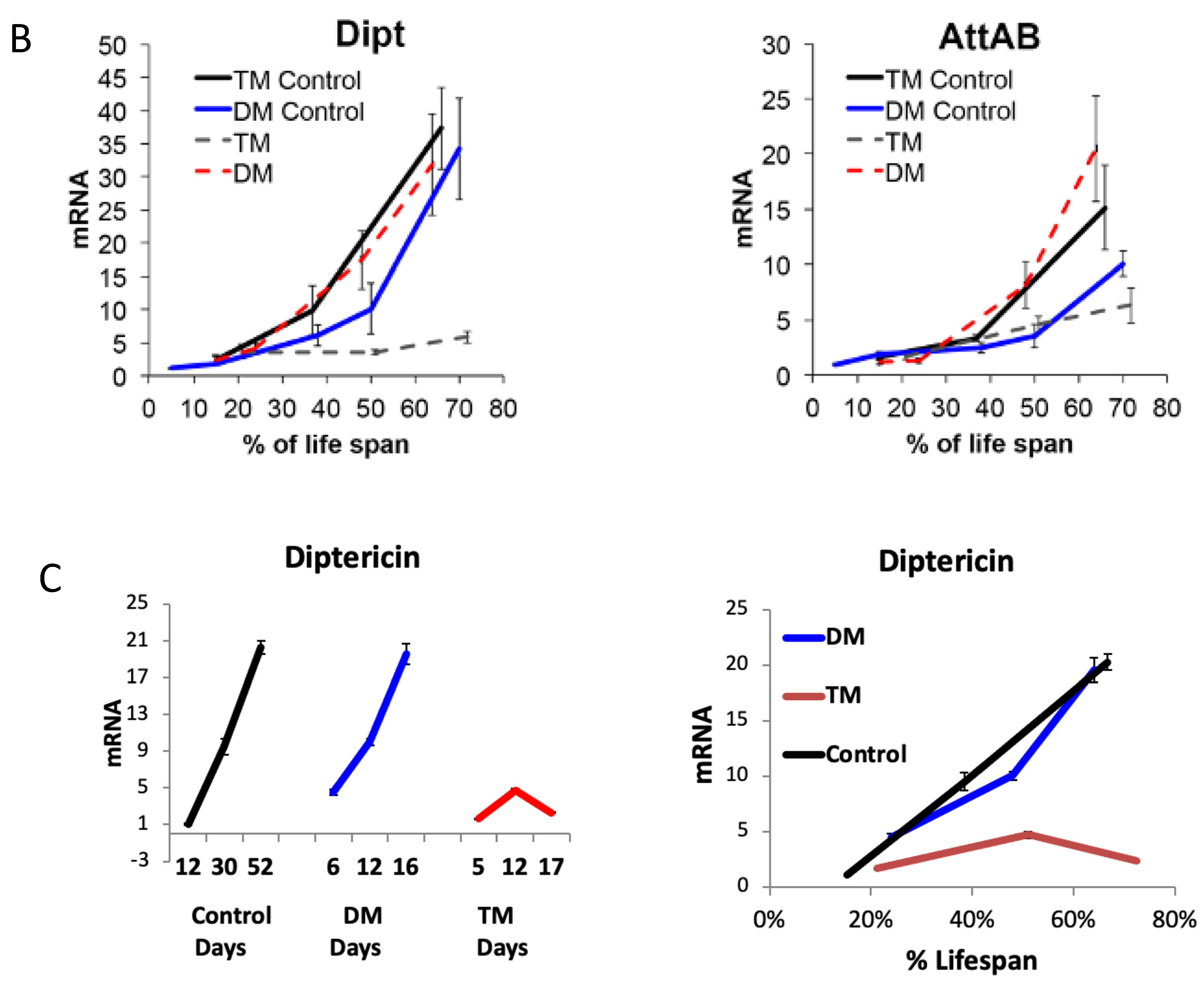 Antioxidants 12 01616 g006b Antioxidants 12 01616 g006b