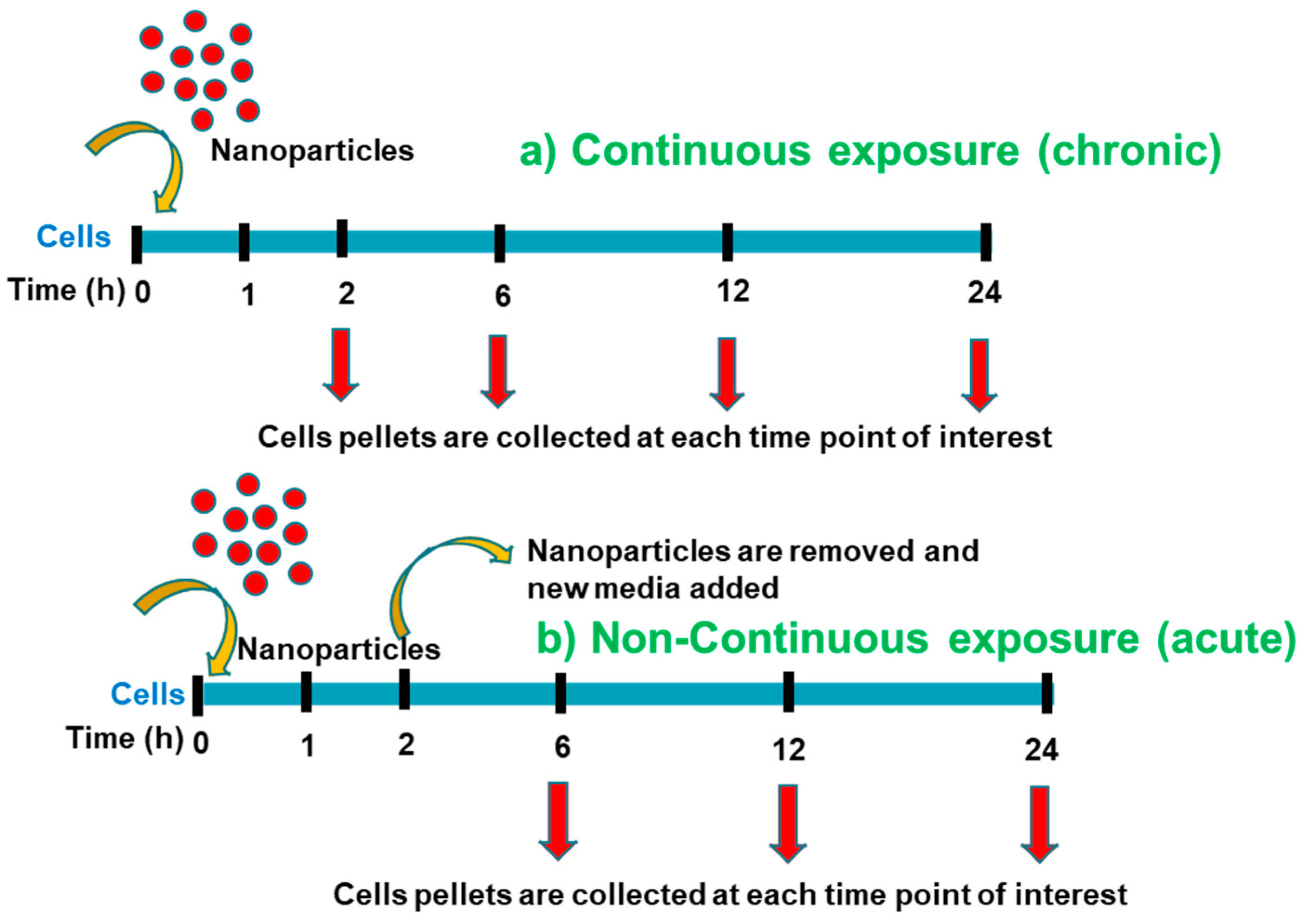 Antioxidants 12 01617 g002 Antioxidants 12 01617 g002