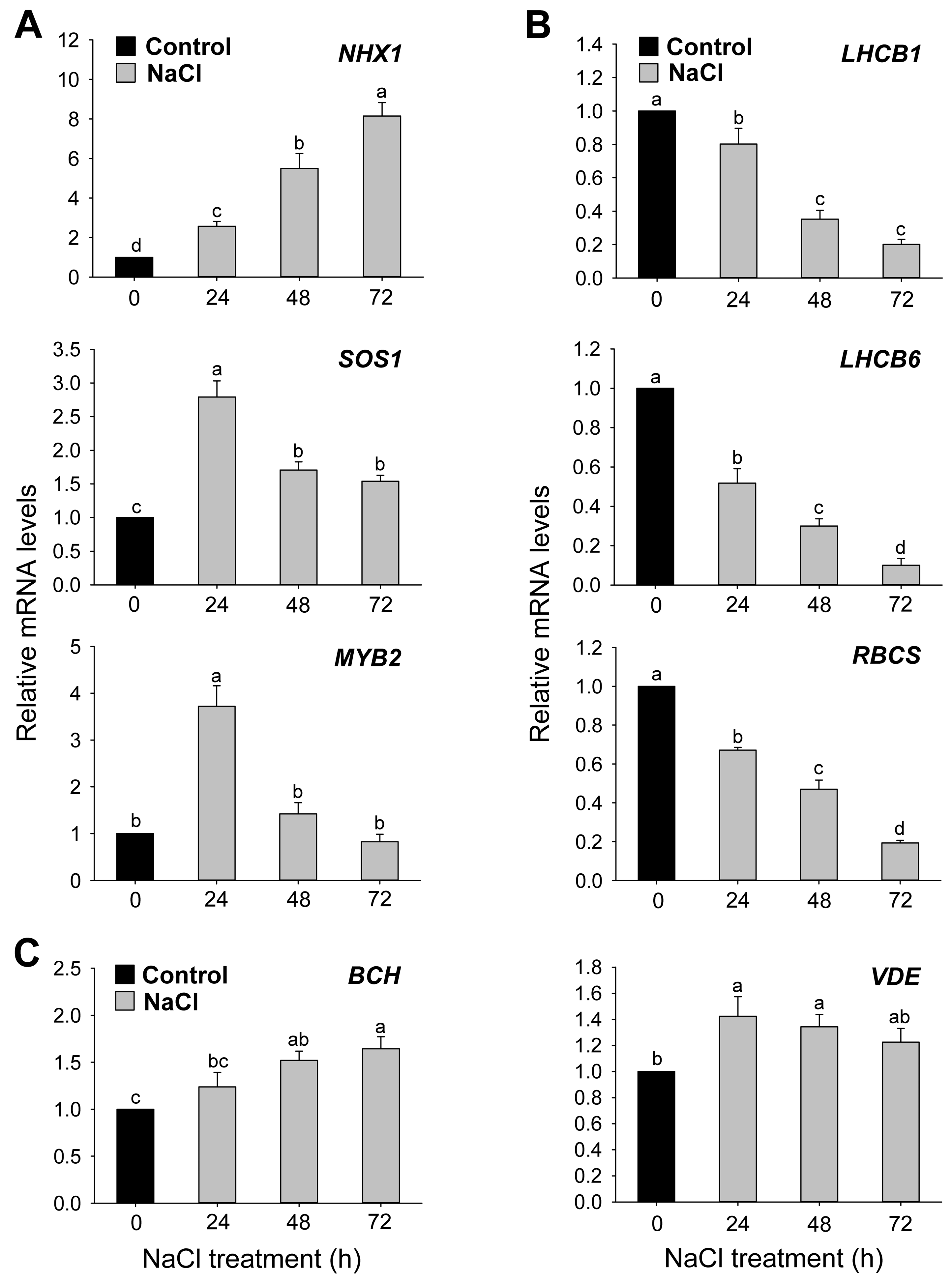 Antioxidants 12 01618 g002 Antioxidants 12 01618 g002
