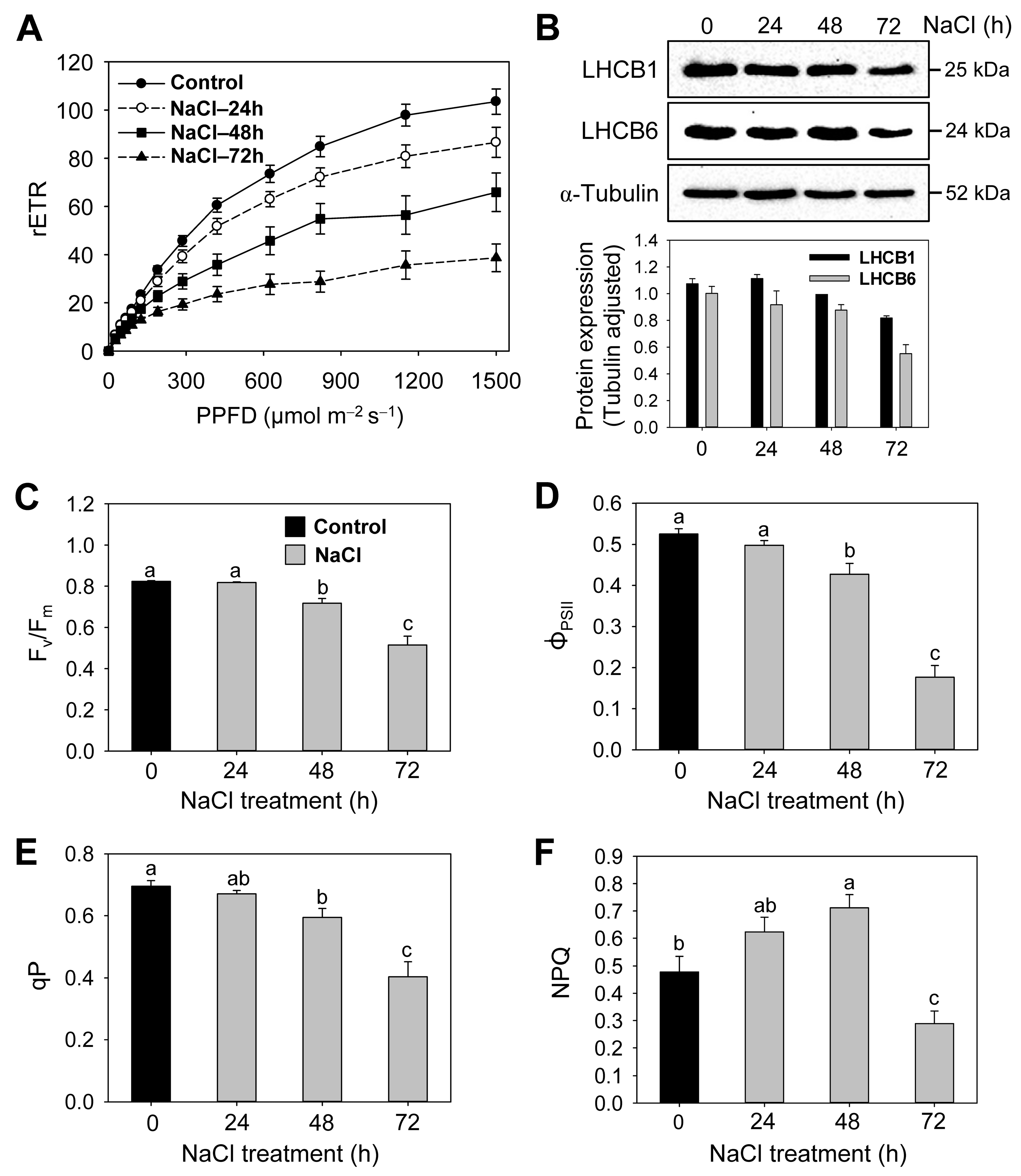 Antioxidants 12 01618 g003 Antioxidants 12 01618 g003