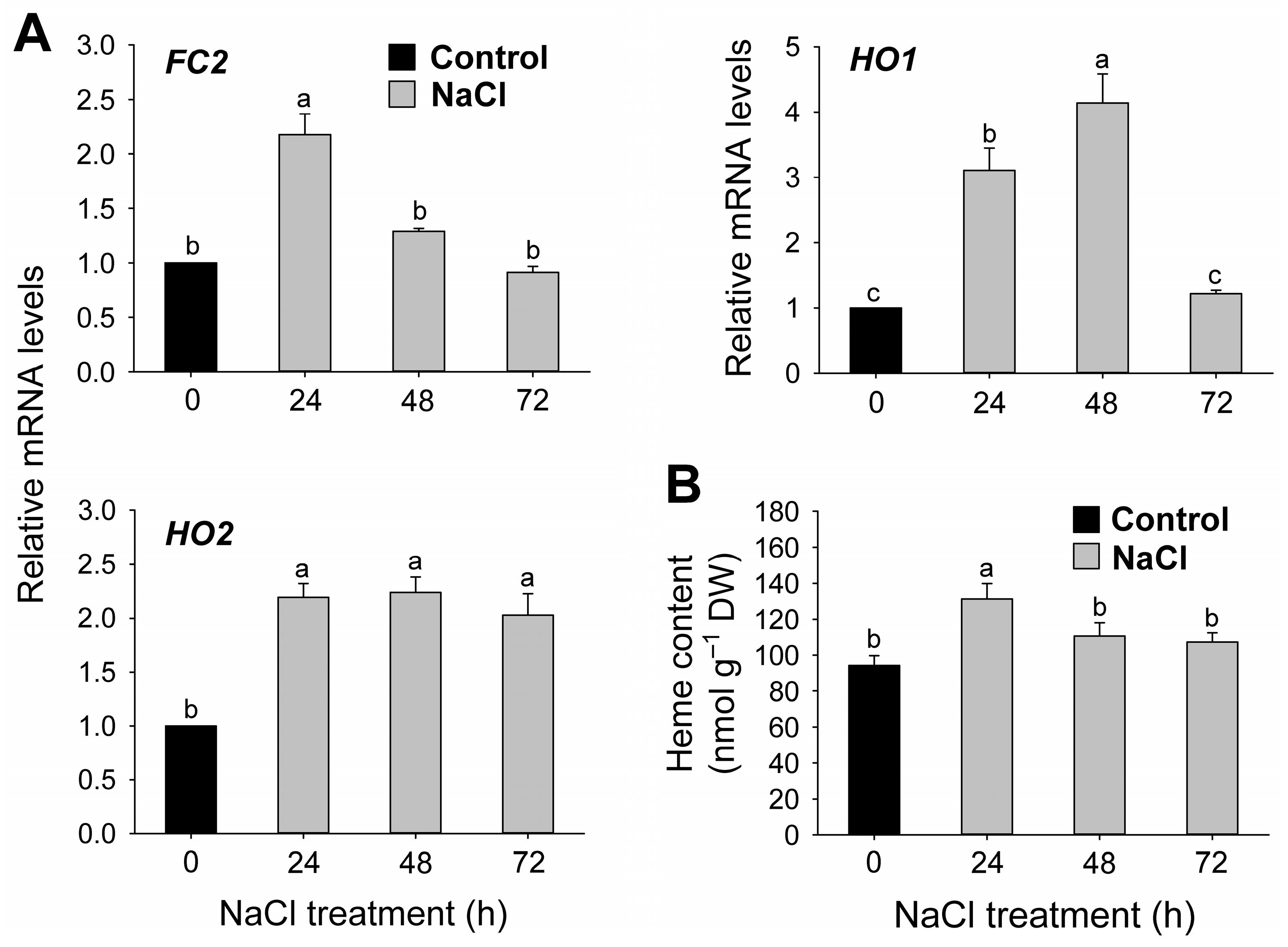 Antioxidants 12 01618 g006 Antioxidants 12 01618 g006