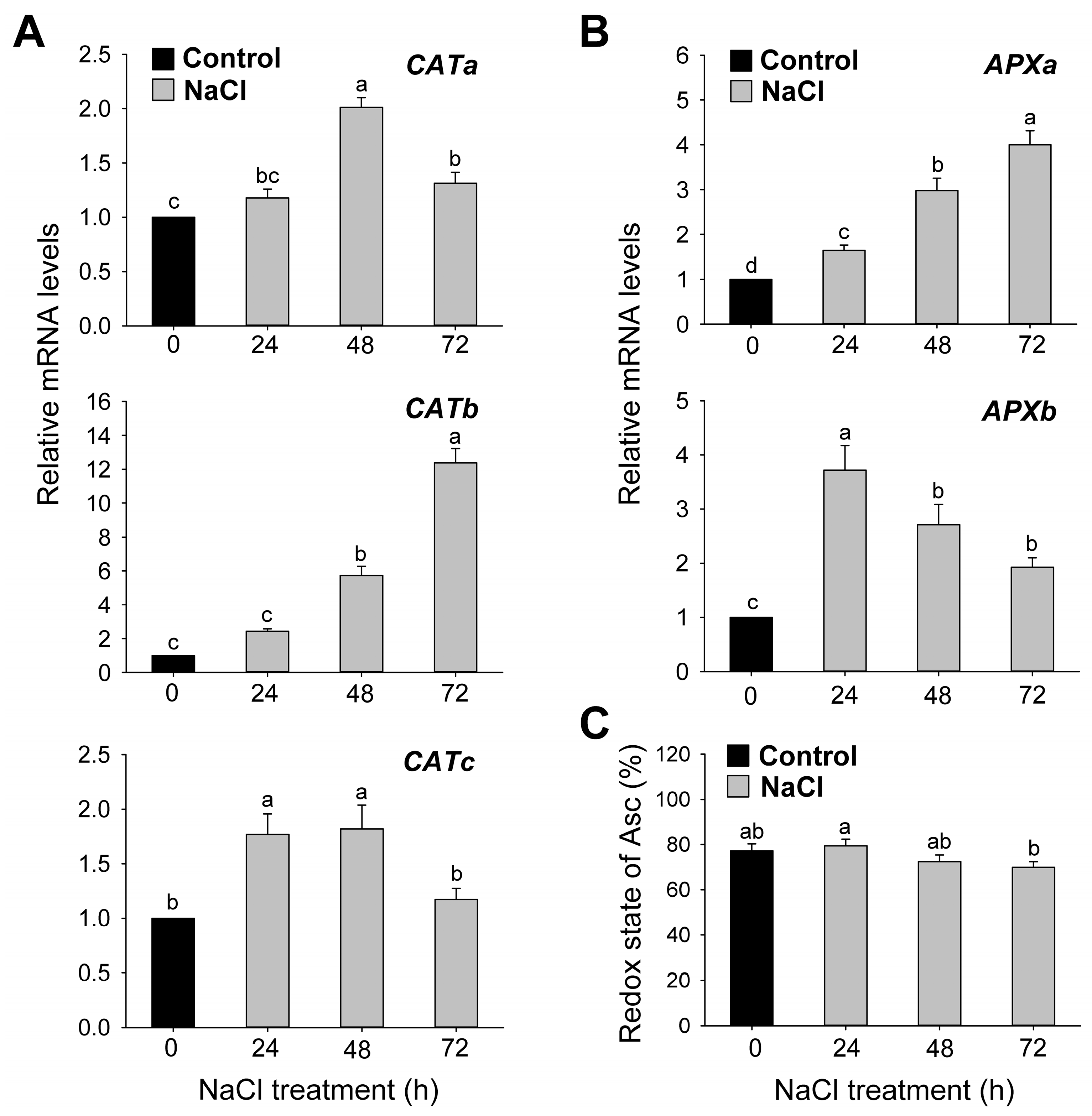 Antioxidants 12 01618 g008 Antioxidants 12 01618 g008