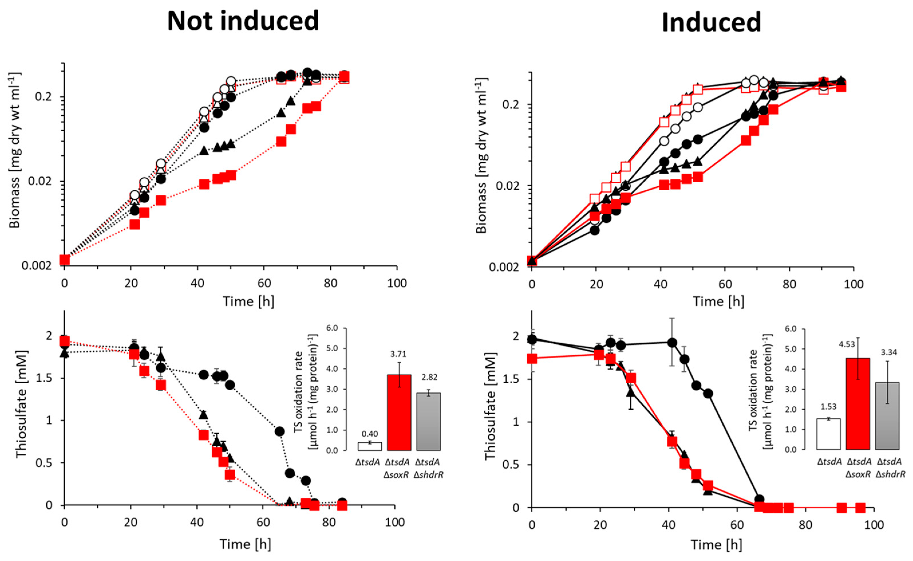 Antioxidants 12 01620 g003 Antioxidants 12 01620 g003