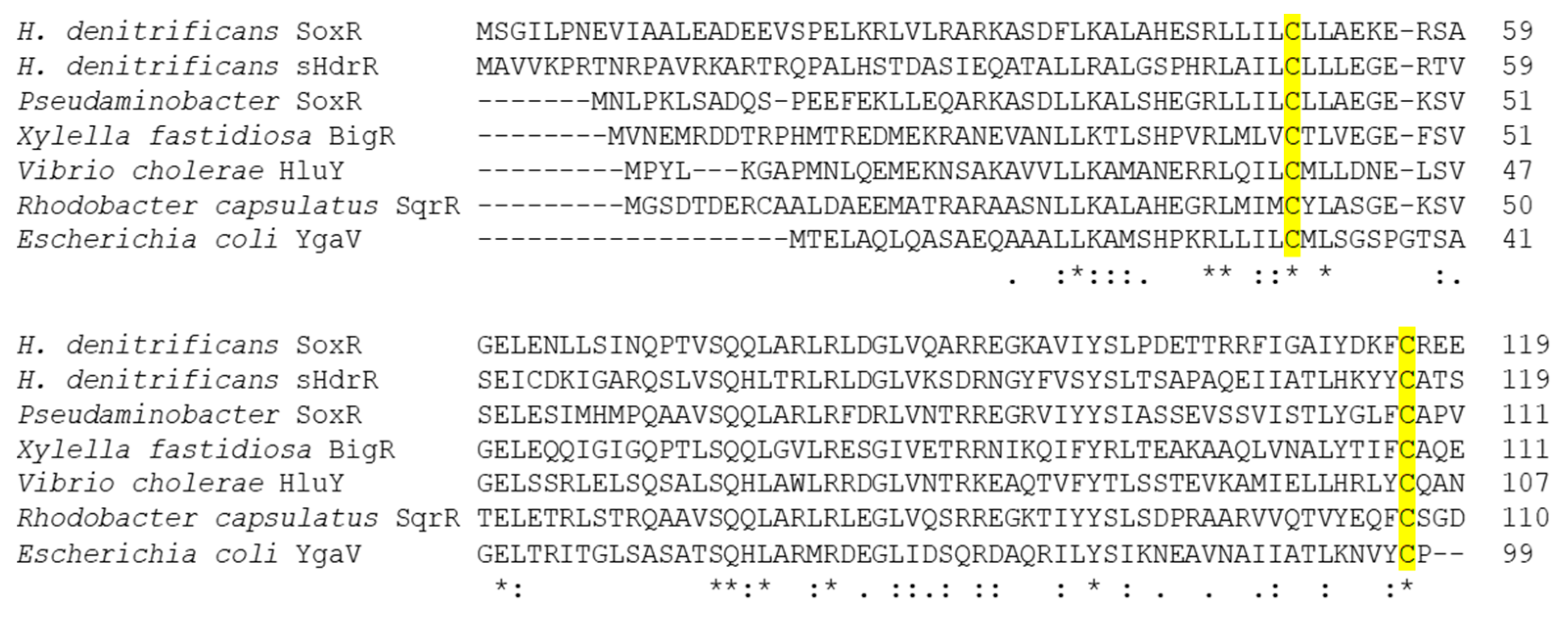 Antioxidants 12 01620 g005 Antioxidants 12 01620 g005