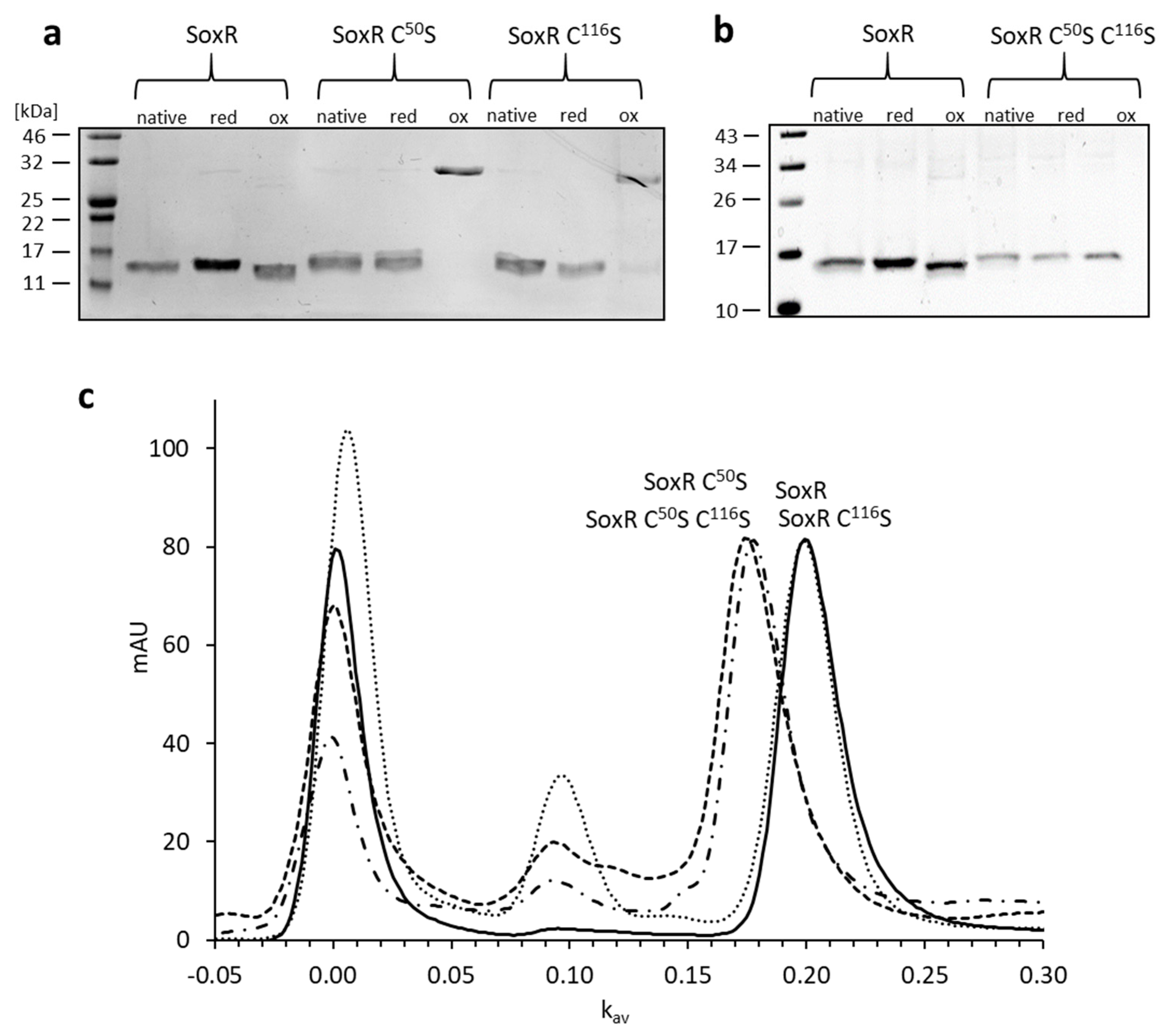 Antioxidants 12 01620 g006 Antioxidants 12 01620 g006