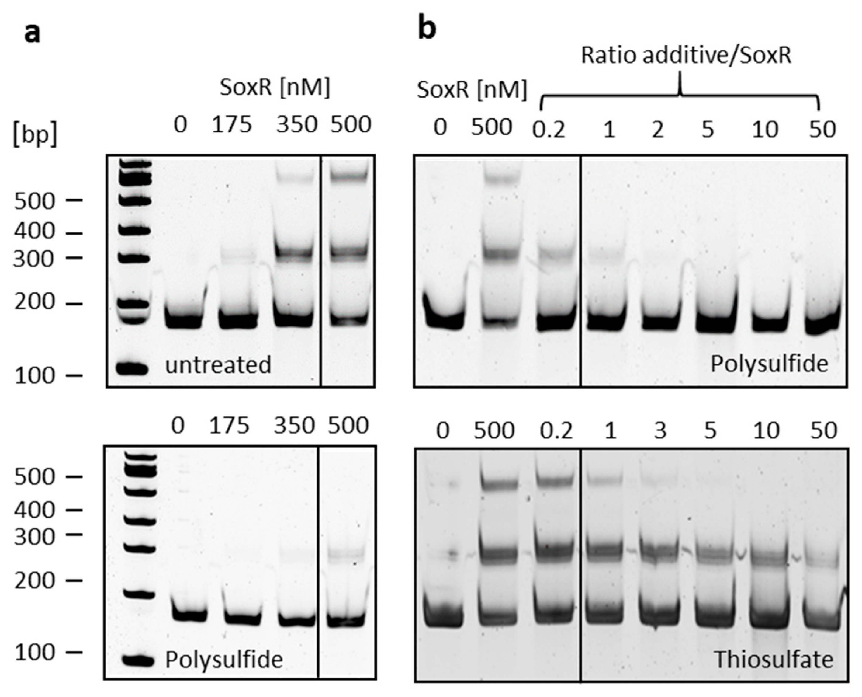 Antioxidants 12 01620 g007 Antioxidants 12 01620 g007