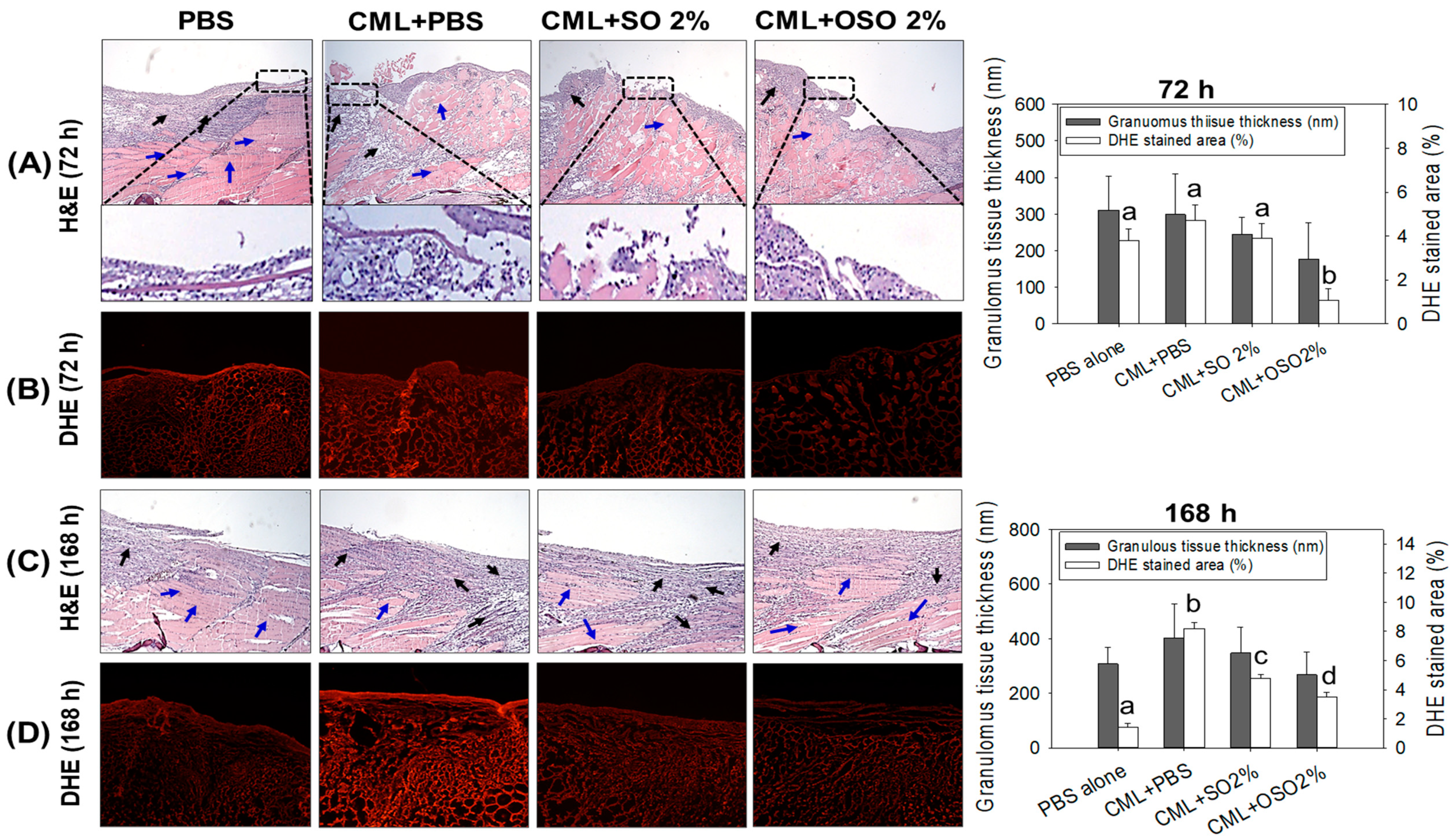Antioxidants 12 01625 g002