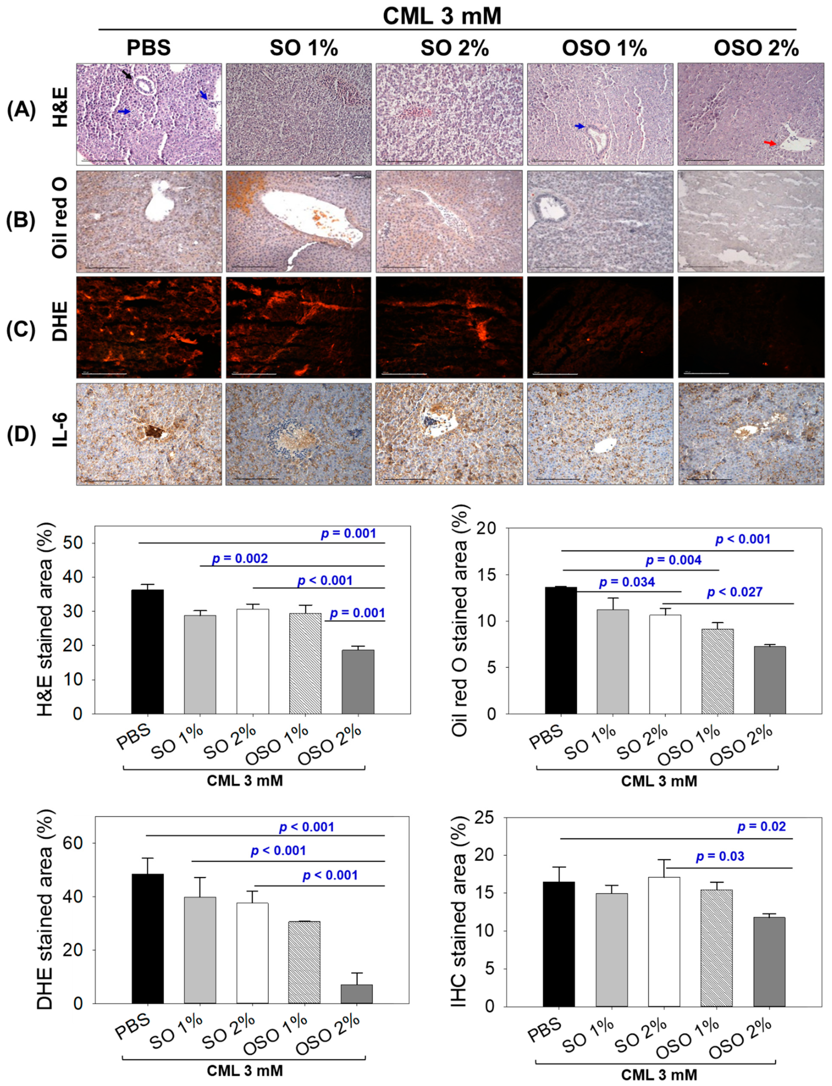 Antioxidants 12 01625 g005