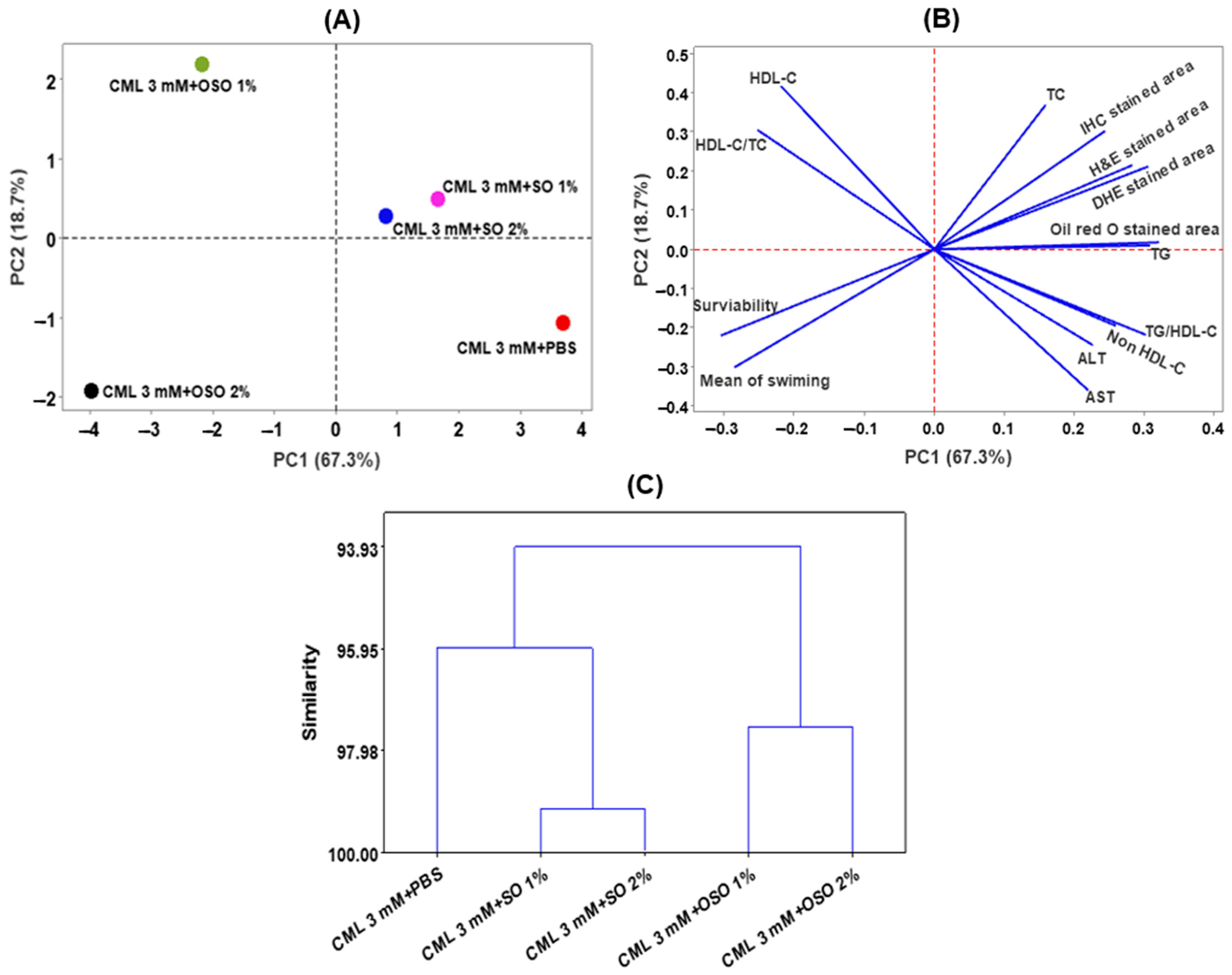 Antioxidants 12 01625 g008
