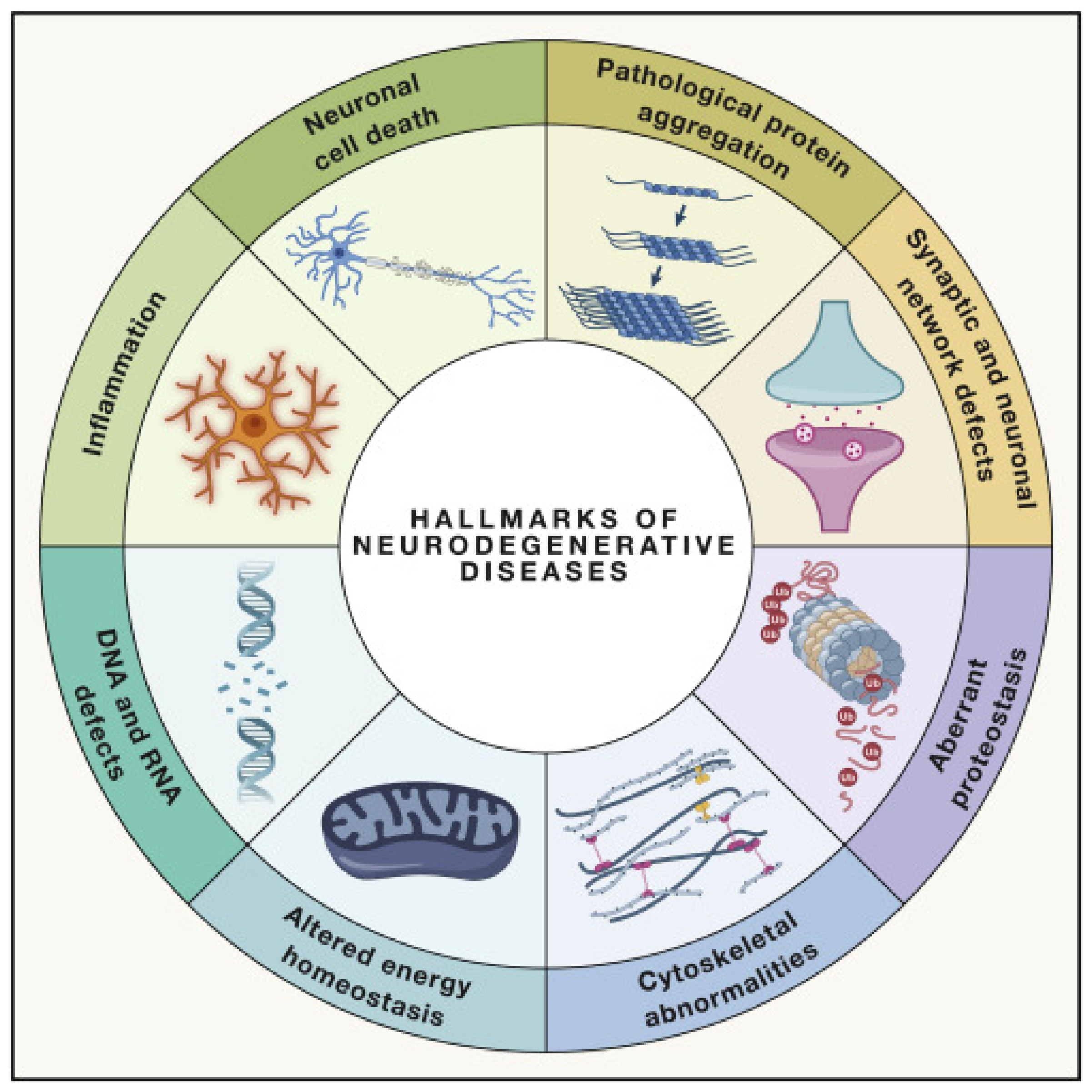 Antioxidants 12 01628 g001 Antioxidants 12 01628 g001
