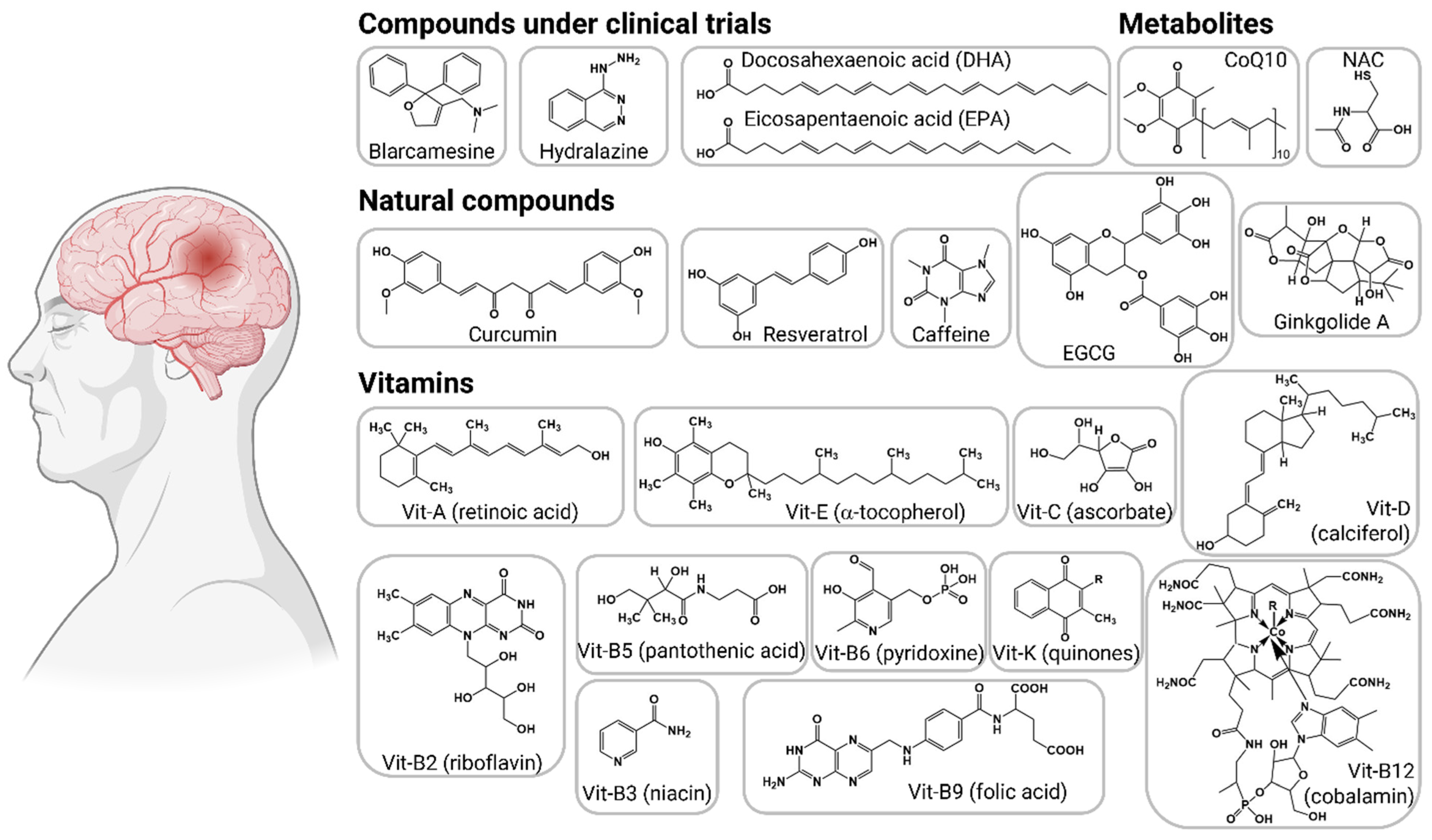 Antioxidants 12 01628 g005 Antioxidants 12 01628 g005