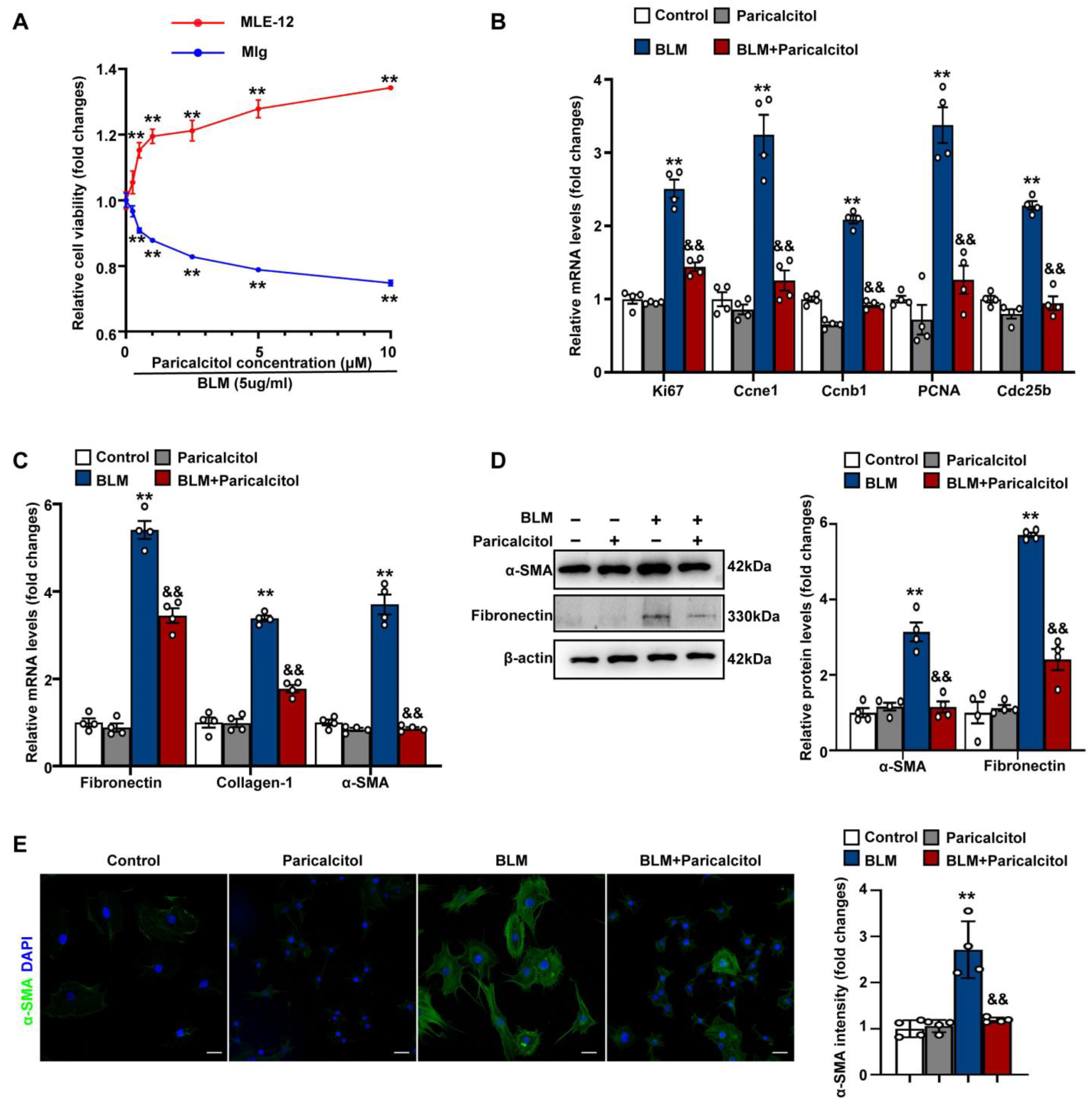 Antioxidants 12 01634 g003