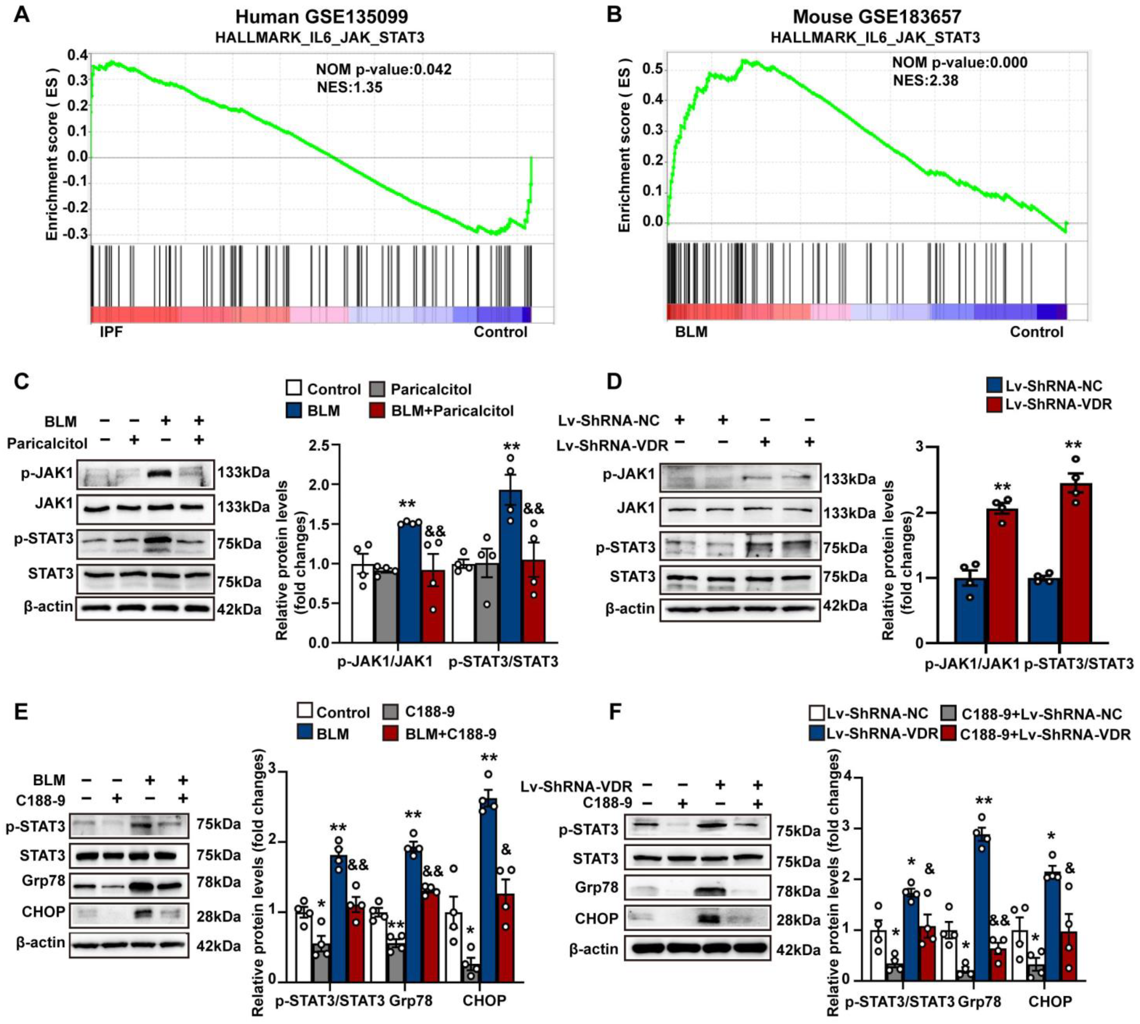Antioxidants 12 01634 g005