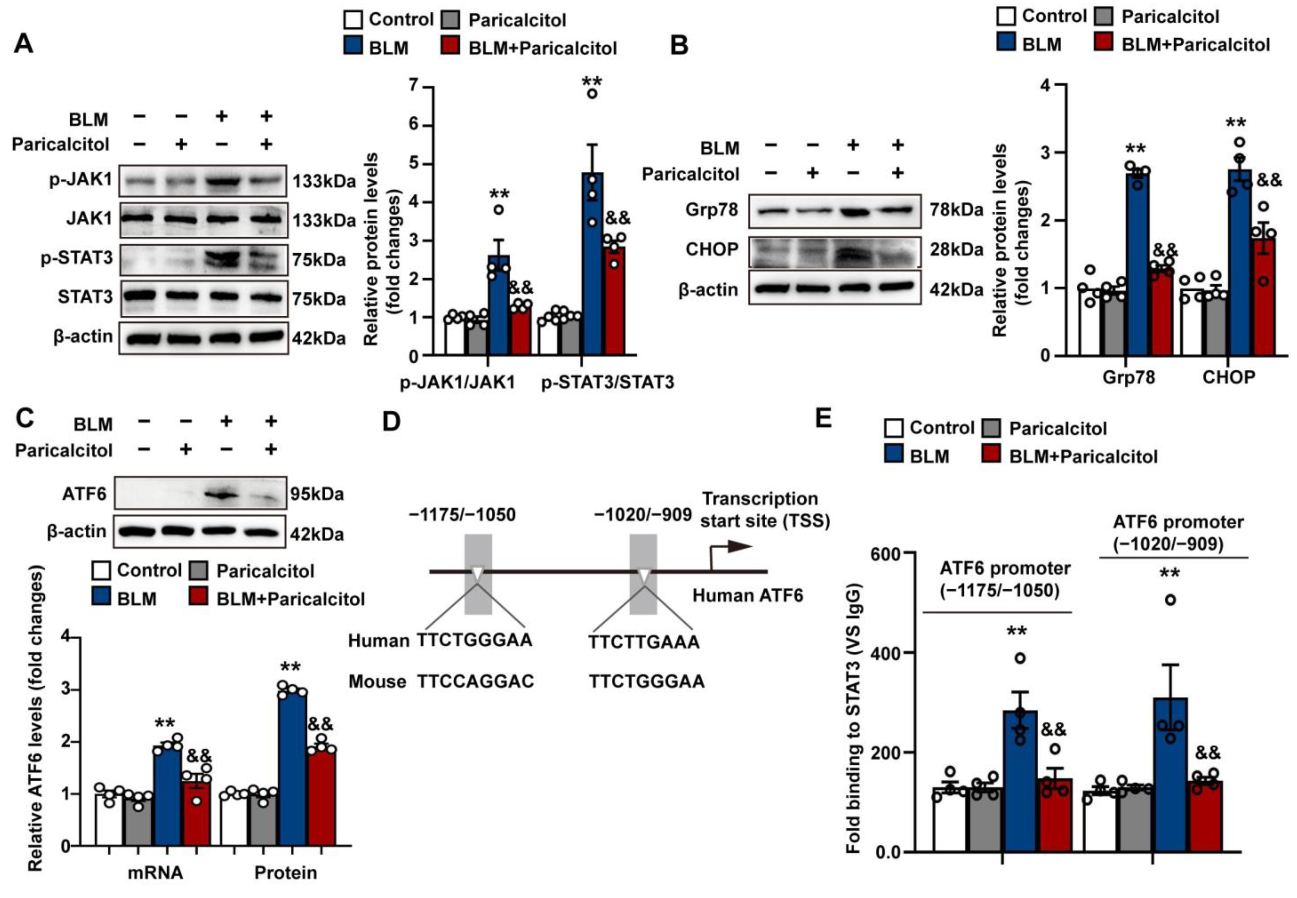 Antioxidants 12 01634 g006