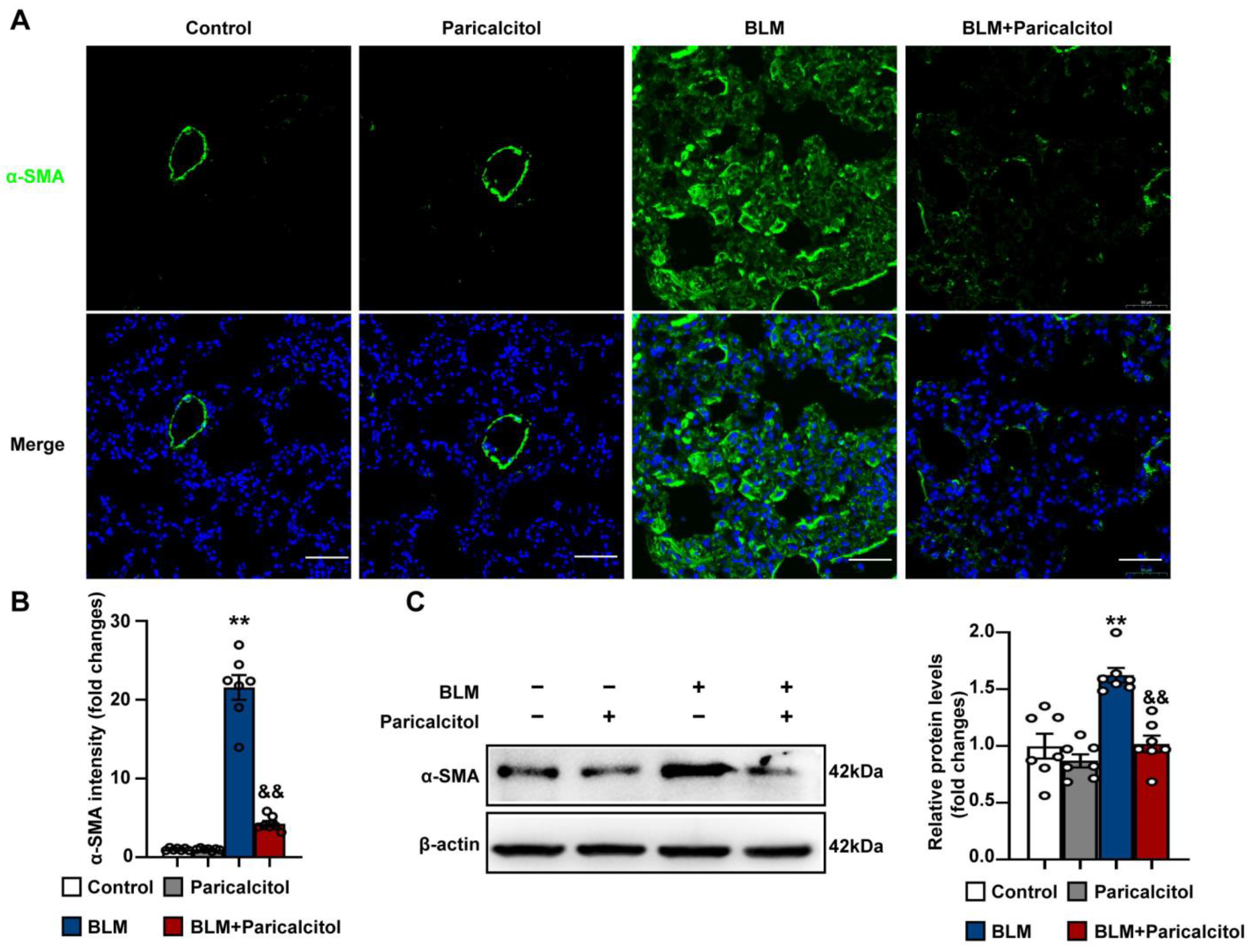 Antioxidants 12 01634 g008